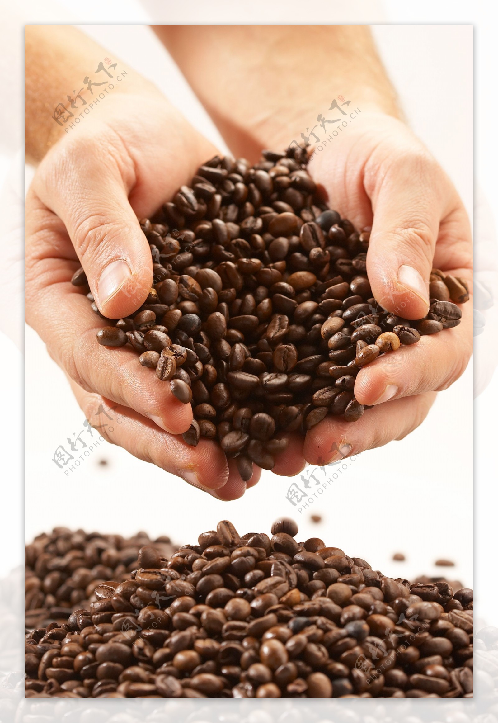 双手捧着的咖啡豆