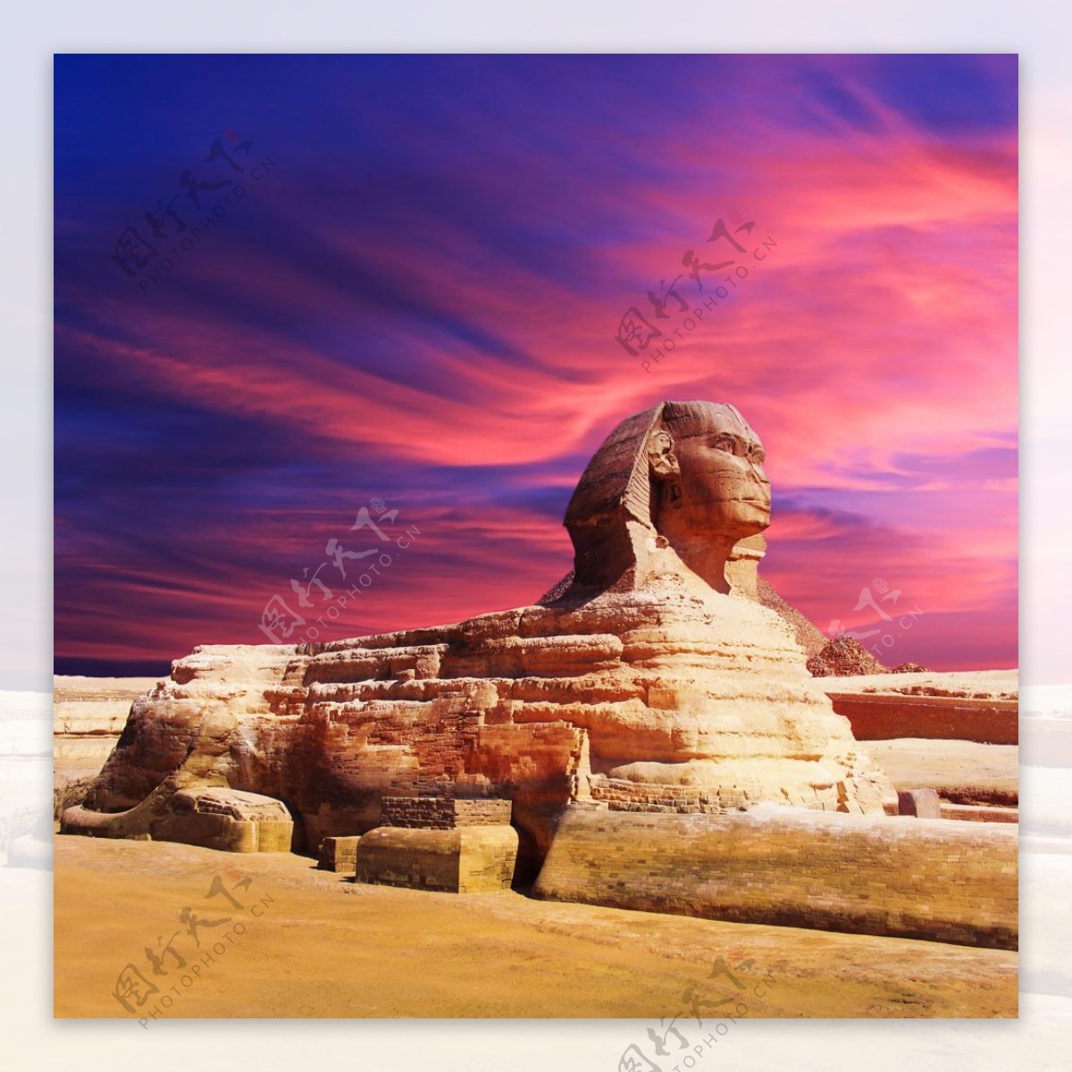 玫瑰色天空下的埃及金字塔图片
