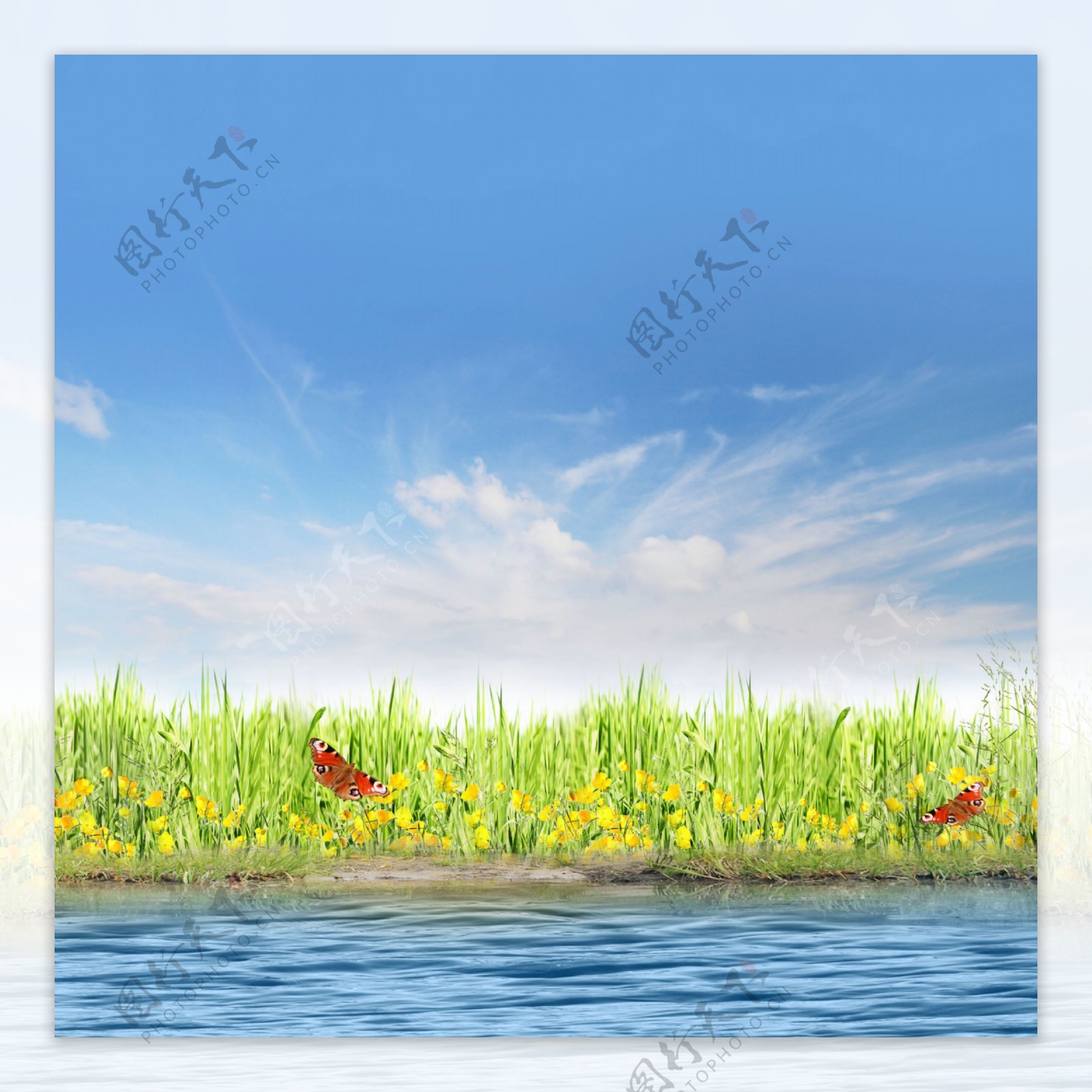草地水面美景图片