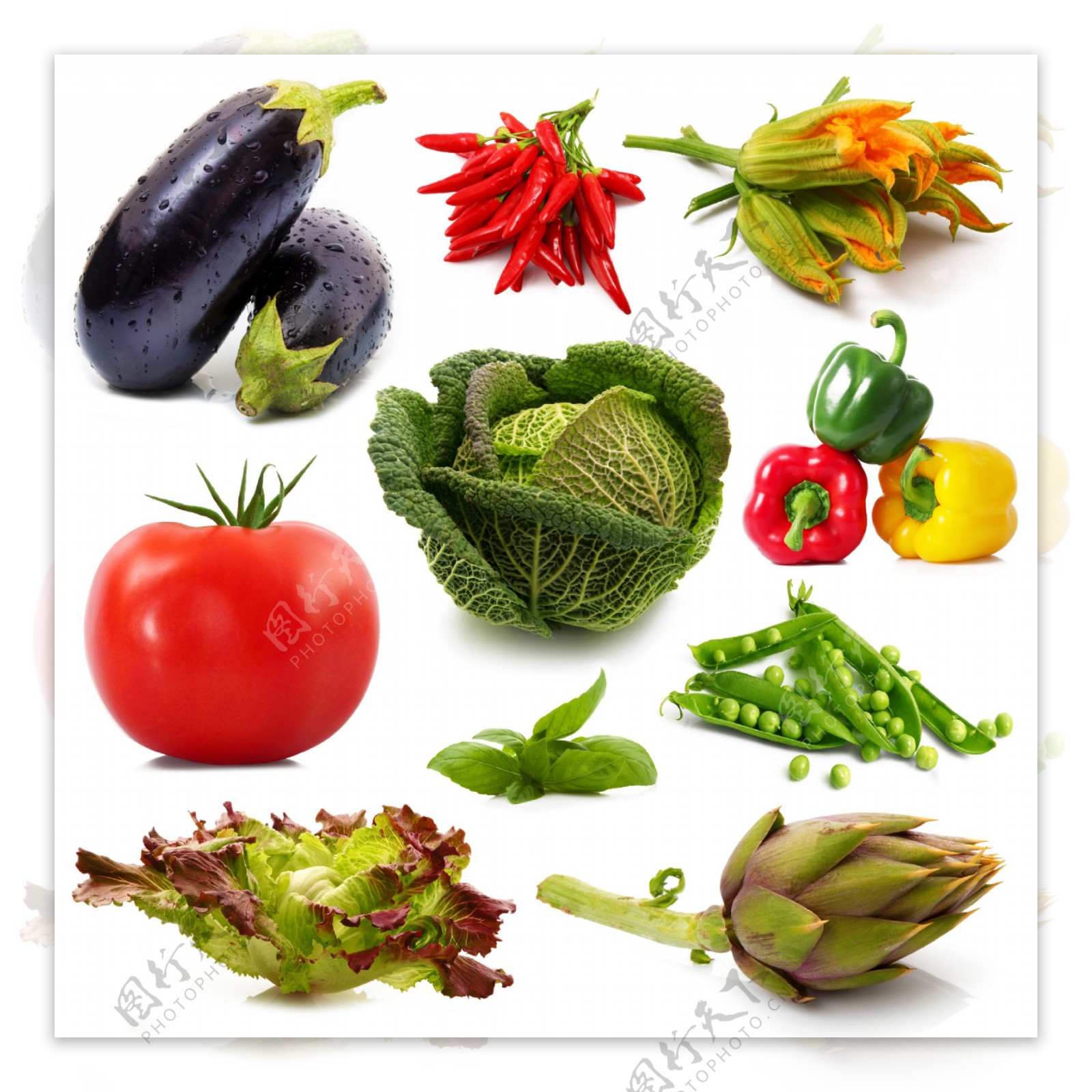 新鲜蔬菜集合摄影图片