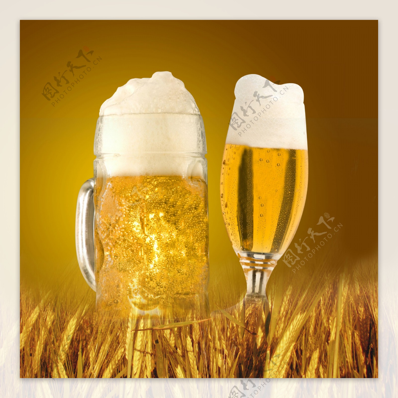 两杯带沫的啤酒图片
