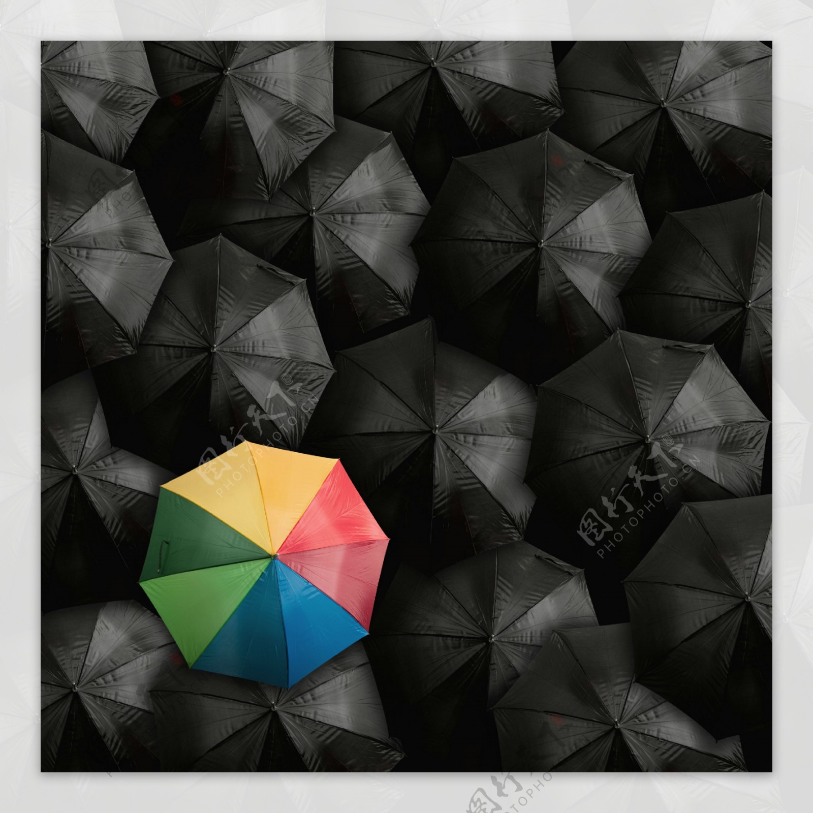 彩虹雨伞与黑色雨伞图片