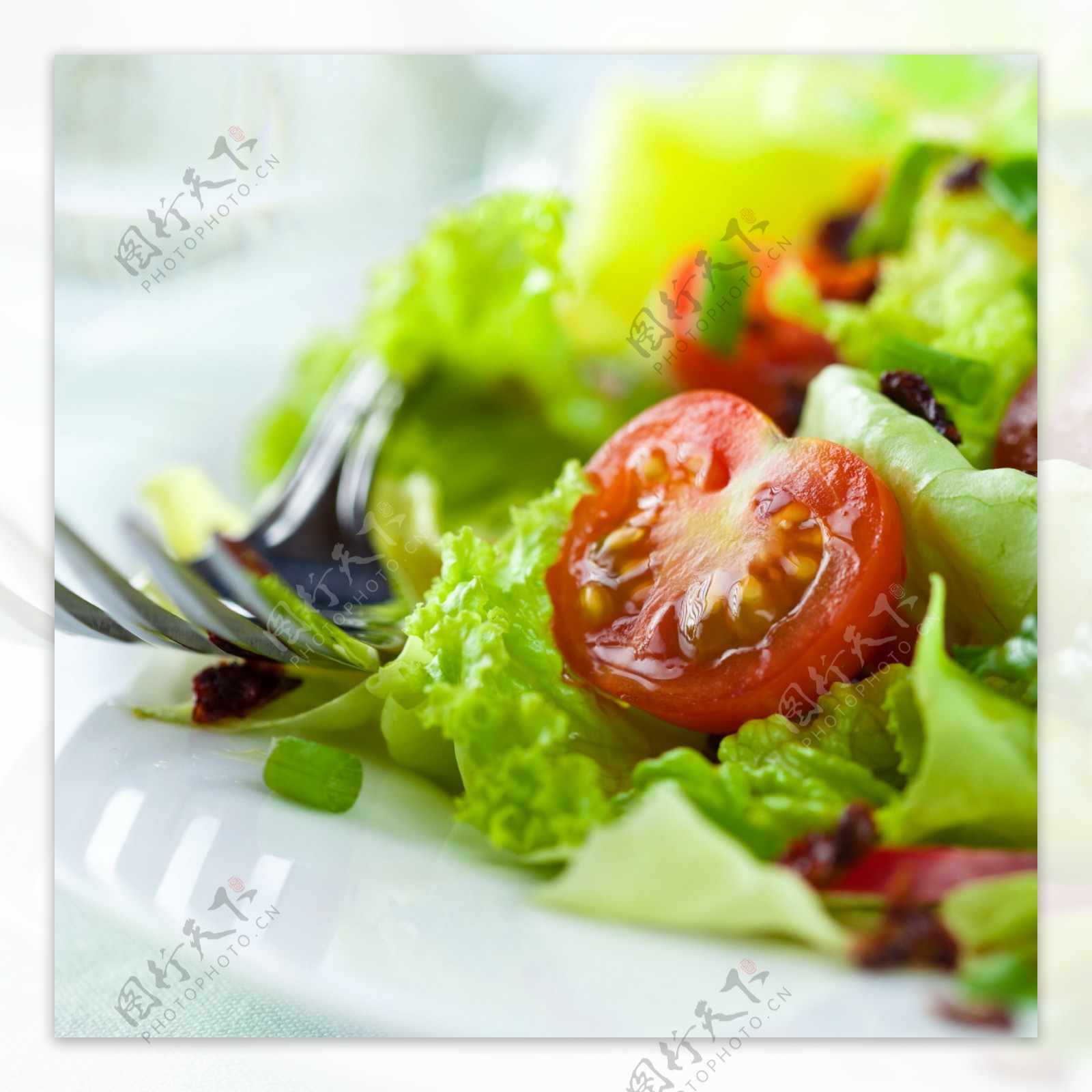 番茄生菜沙拉图片