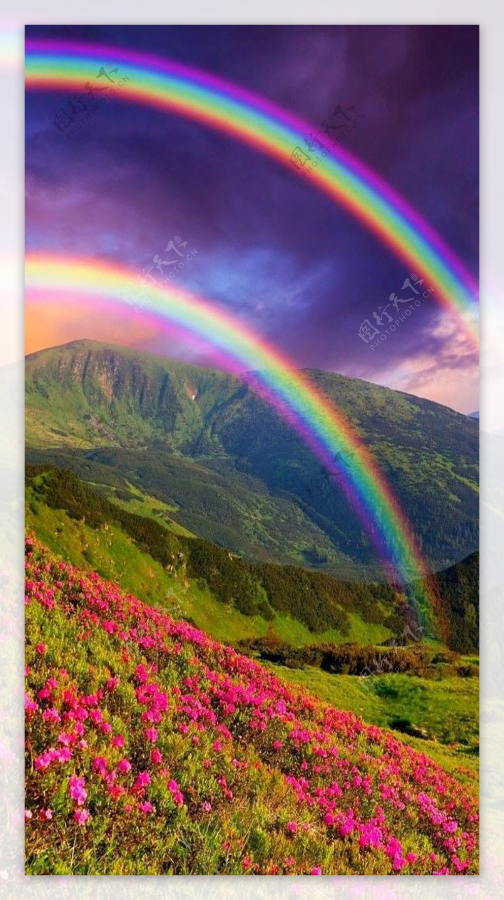 高山上的彩虹