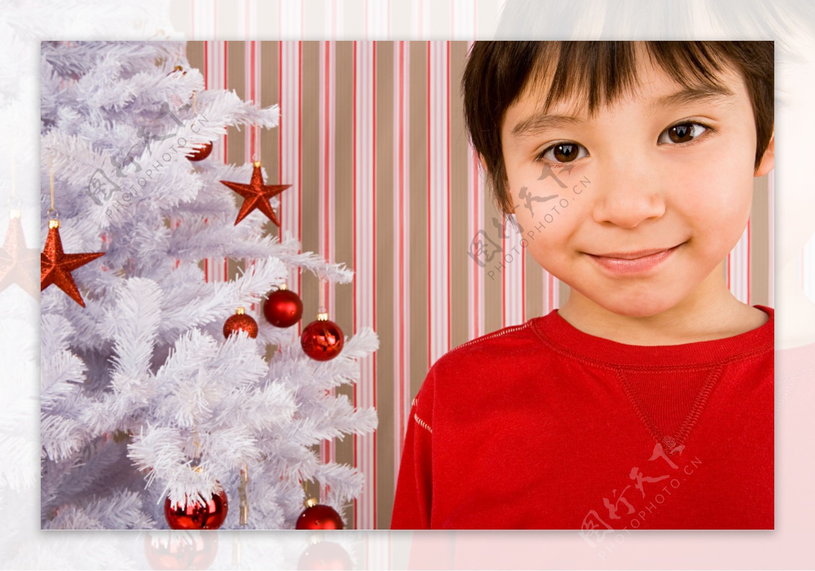 圣诞树旁的可爱男孩图片