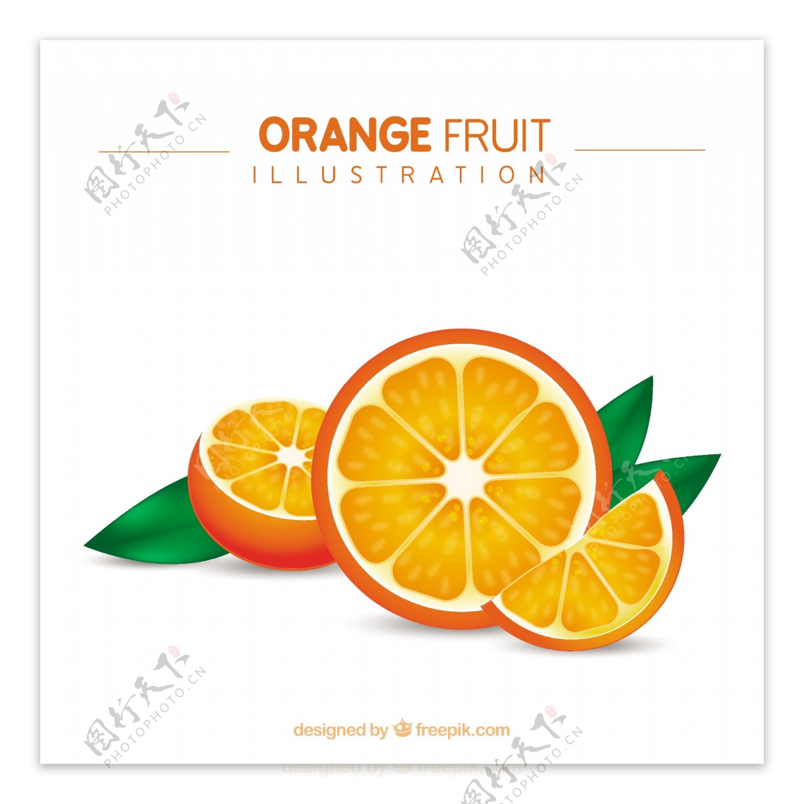 橙色水果的插图