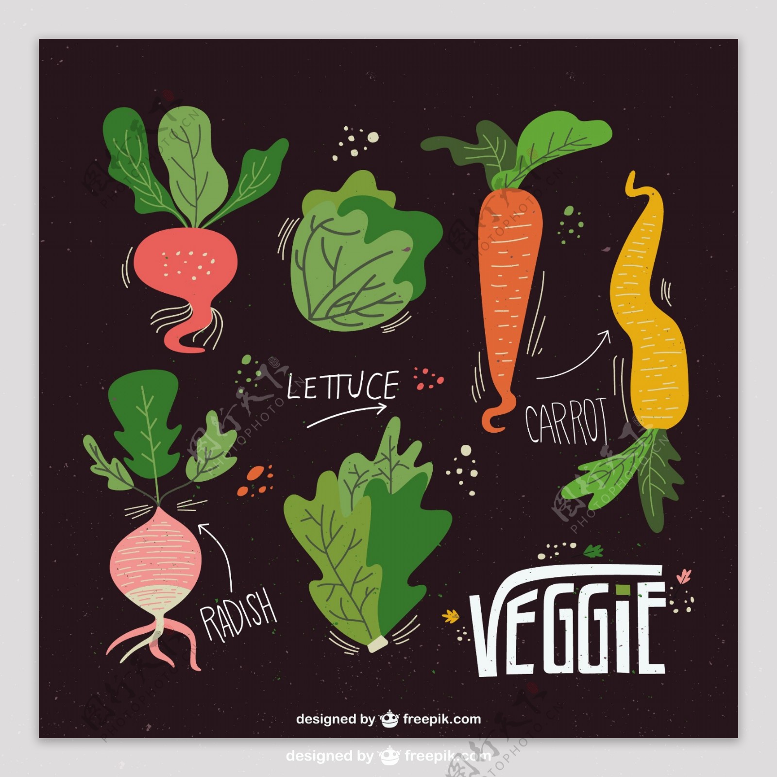 说明蔬菜集合