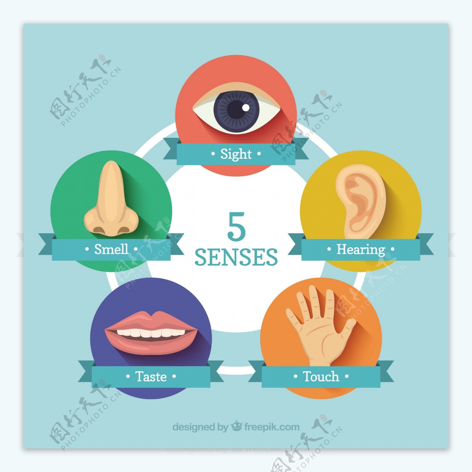 五种感官的图标