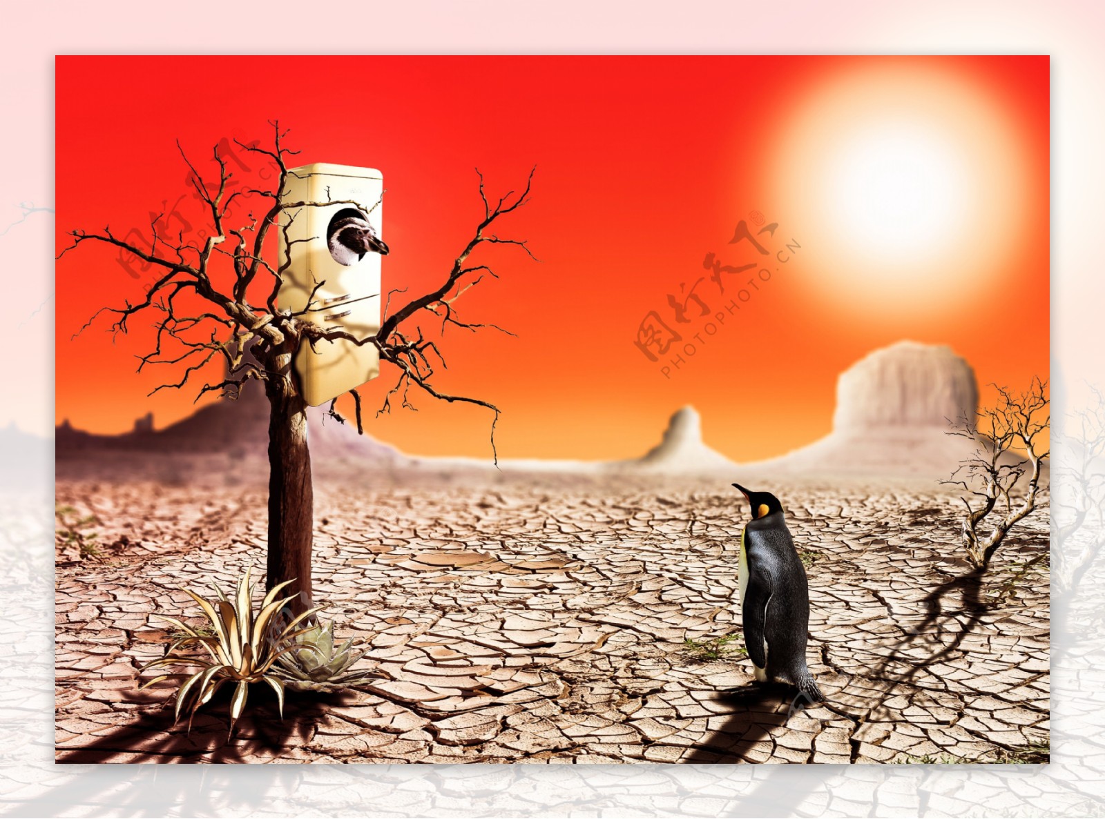 创意沙漠环境保护图片
