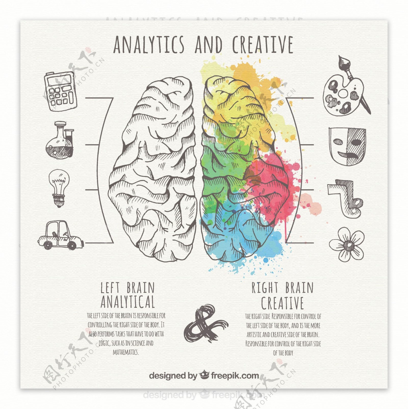分析和创造性的部分大脑的信息图表