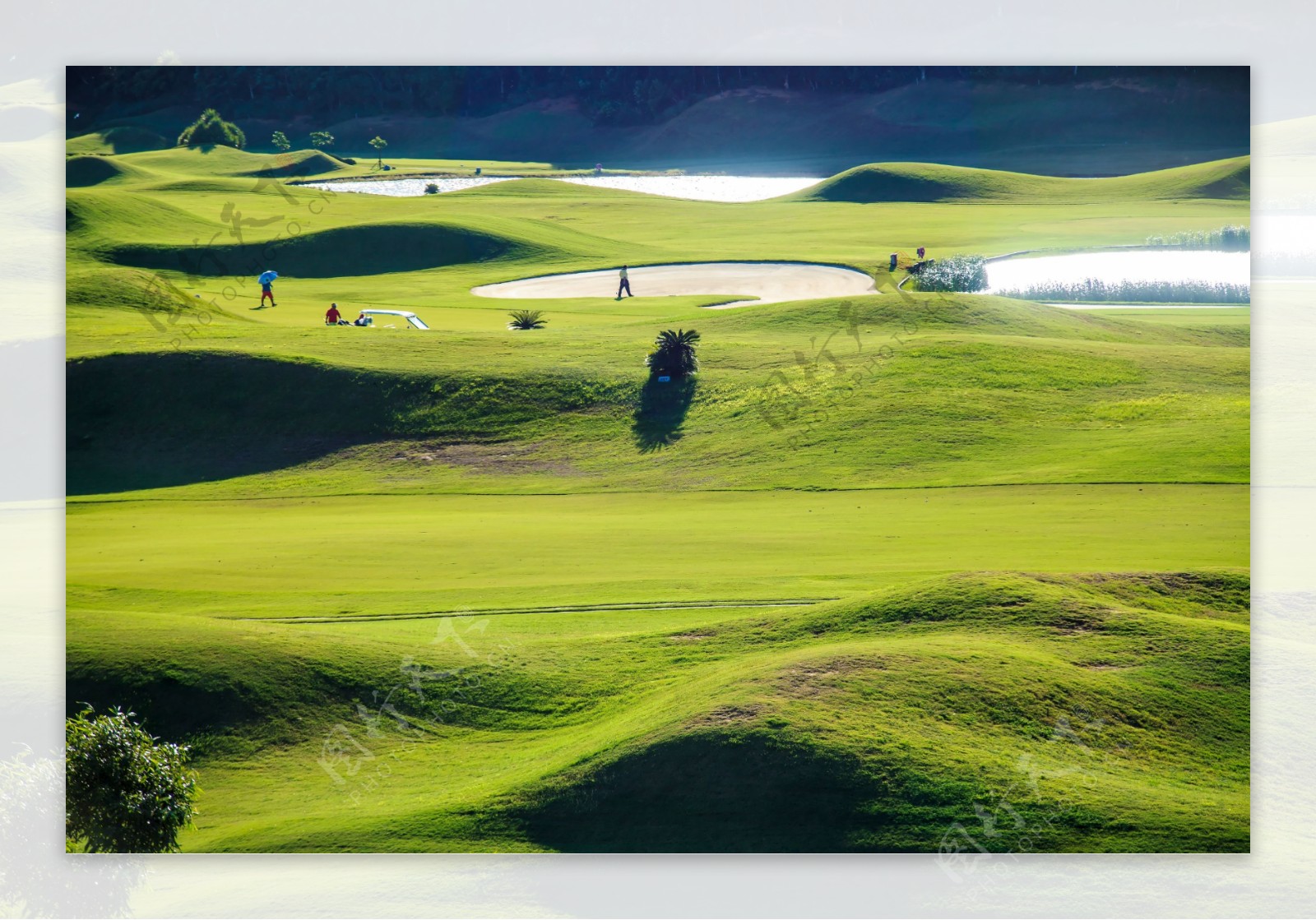 草地草坡高尔夫球场风景图片