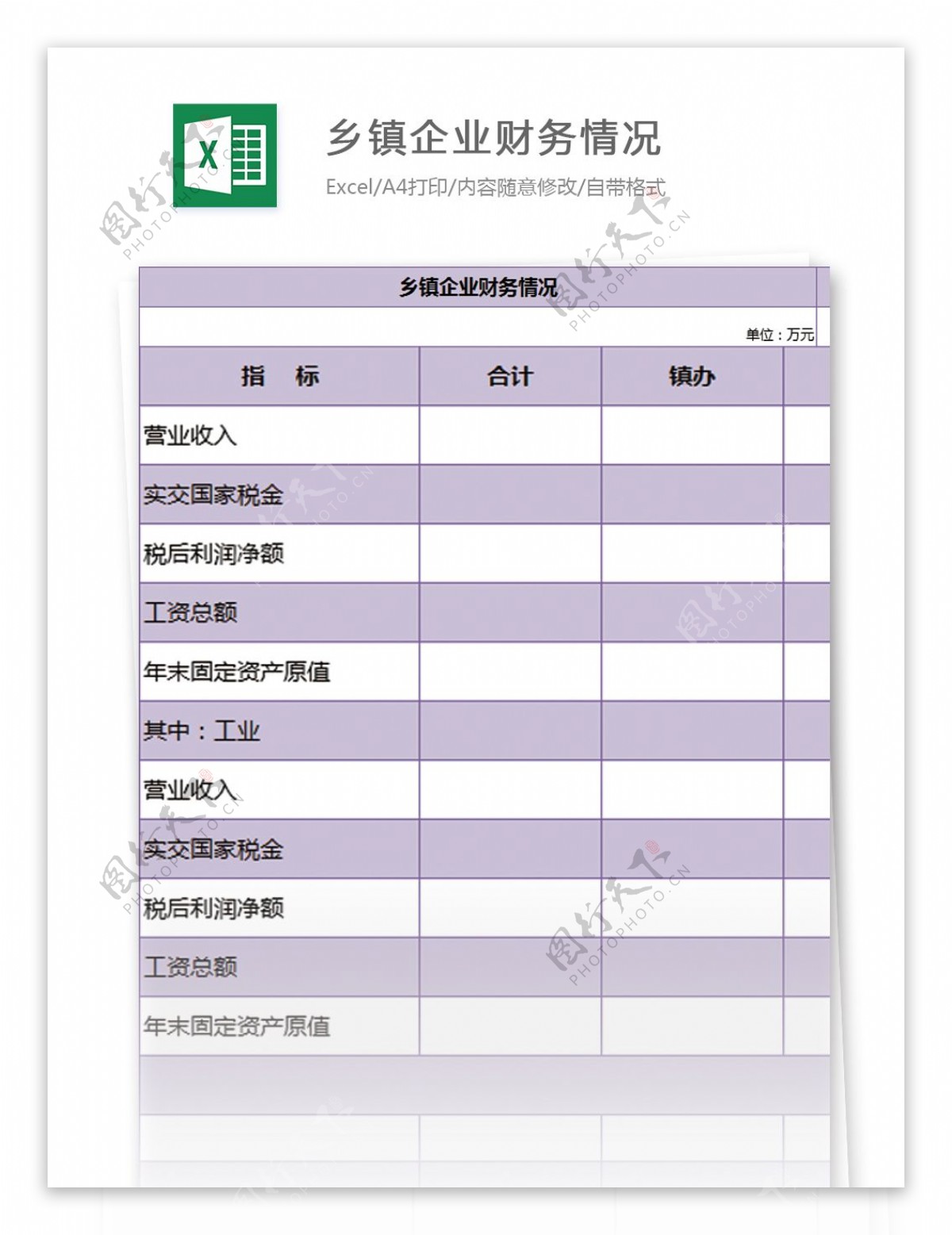 乡镇企业财务情况excel模板表格