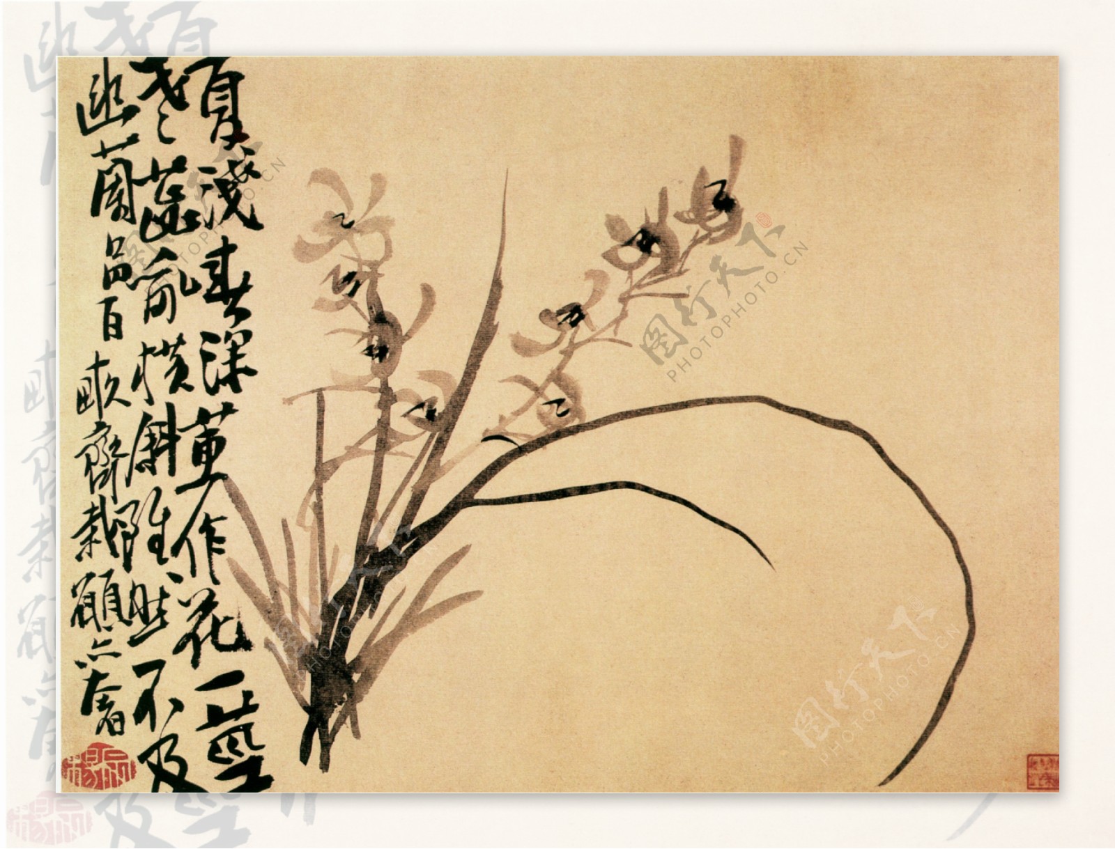 花卉图a花鸟画中国古画0494