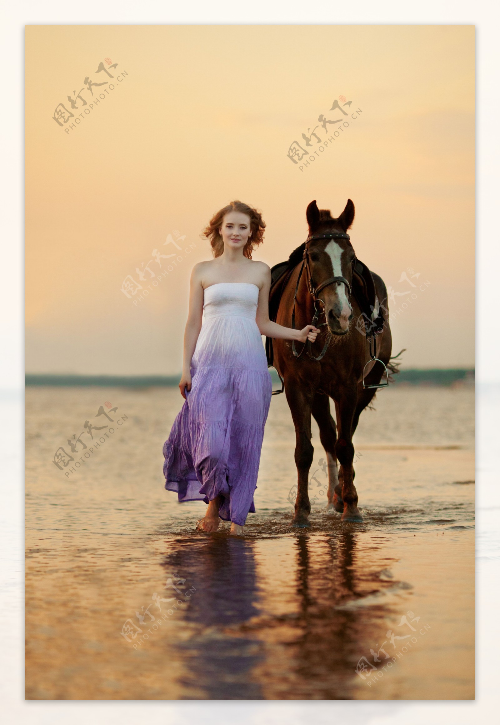 海边牵马的美女图片