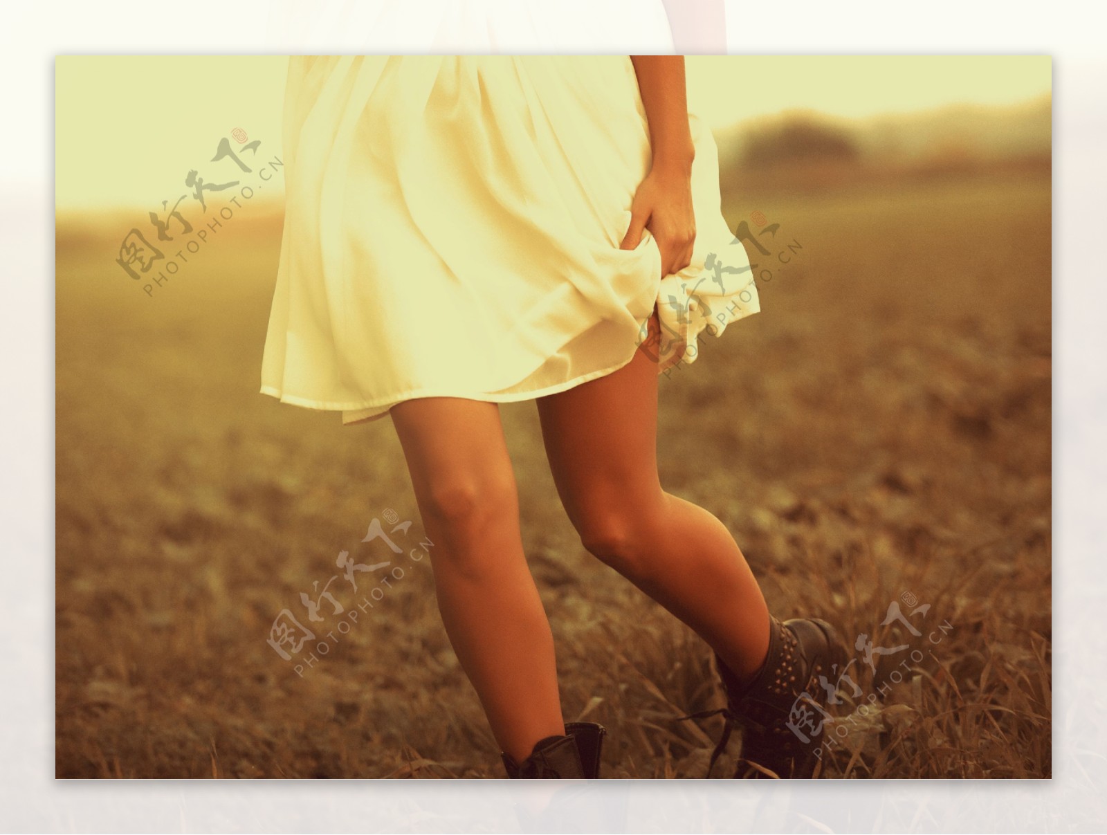 草地上穿白色裙子的美女图片