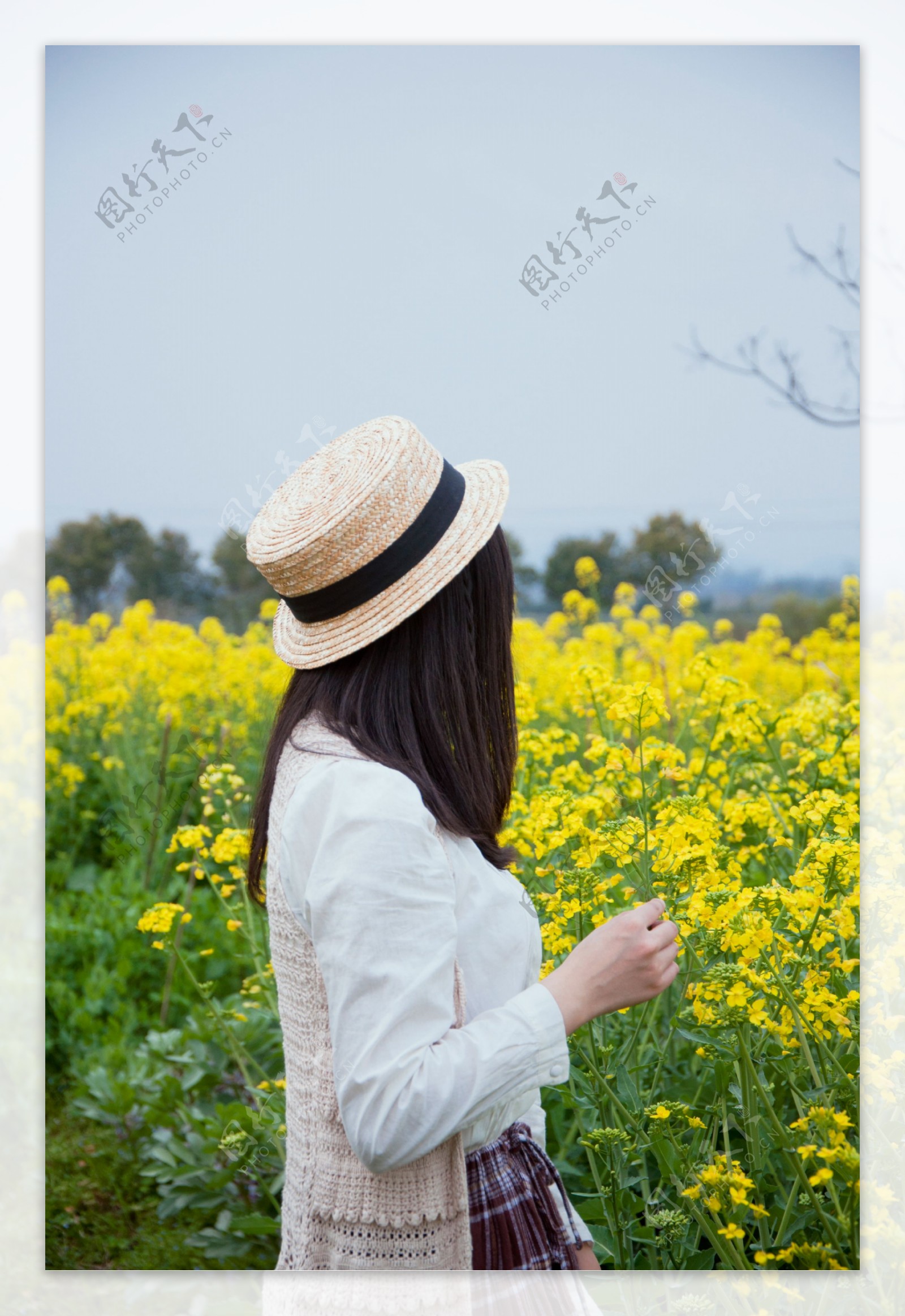 油菜花少女背影图片