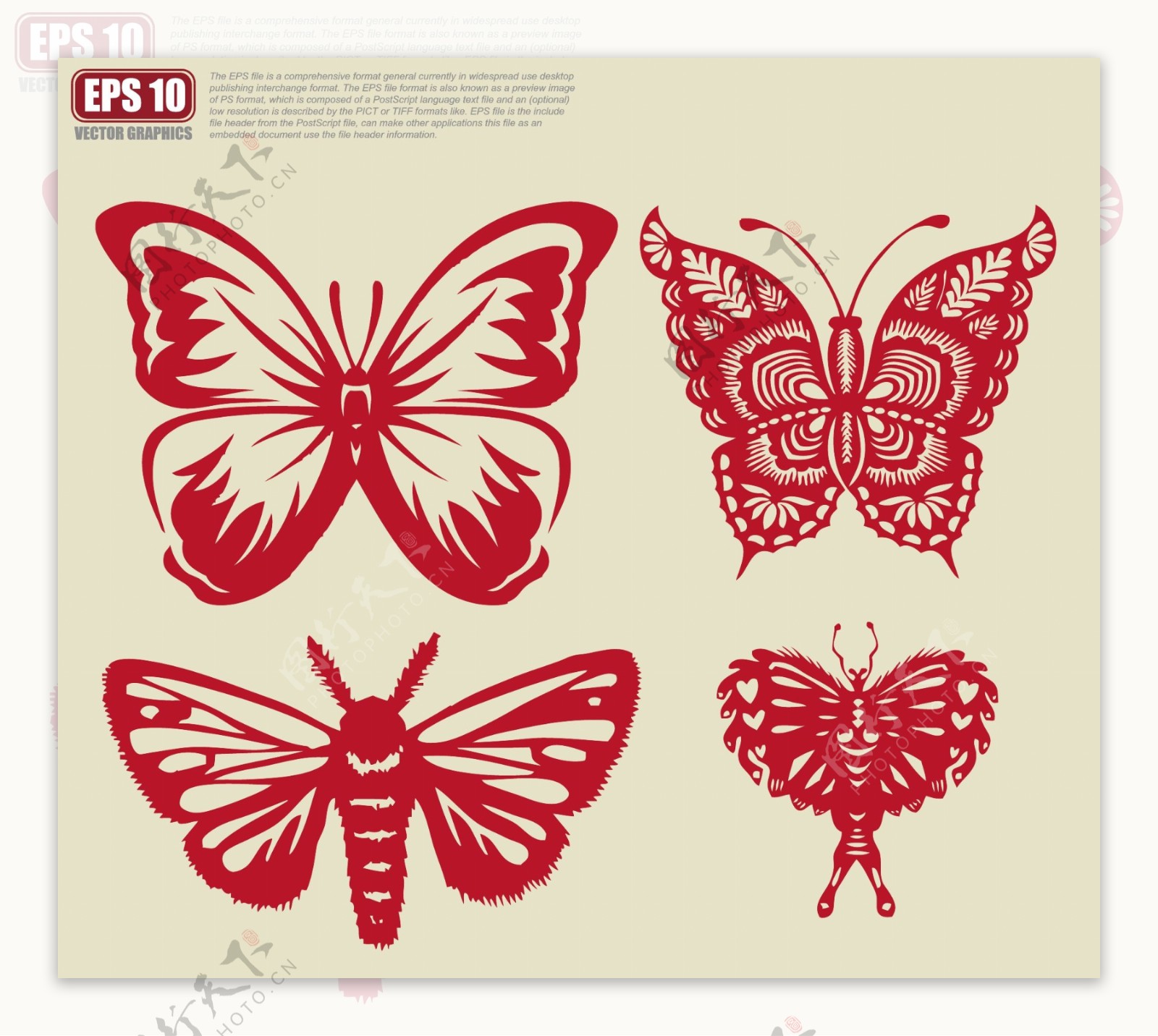 蝴蝶图片素材免费下载(图片编号:3641701)-六图网