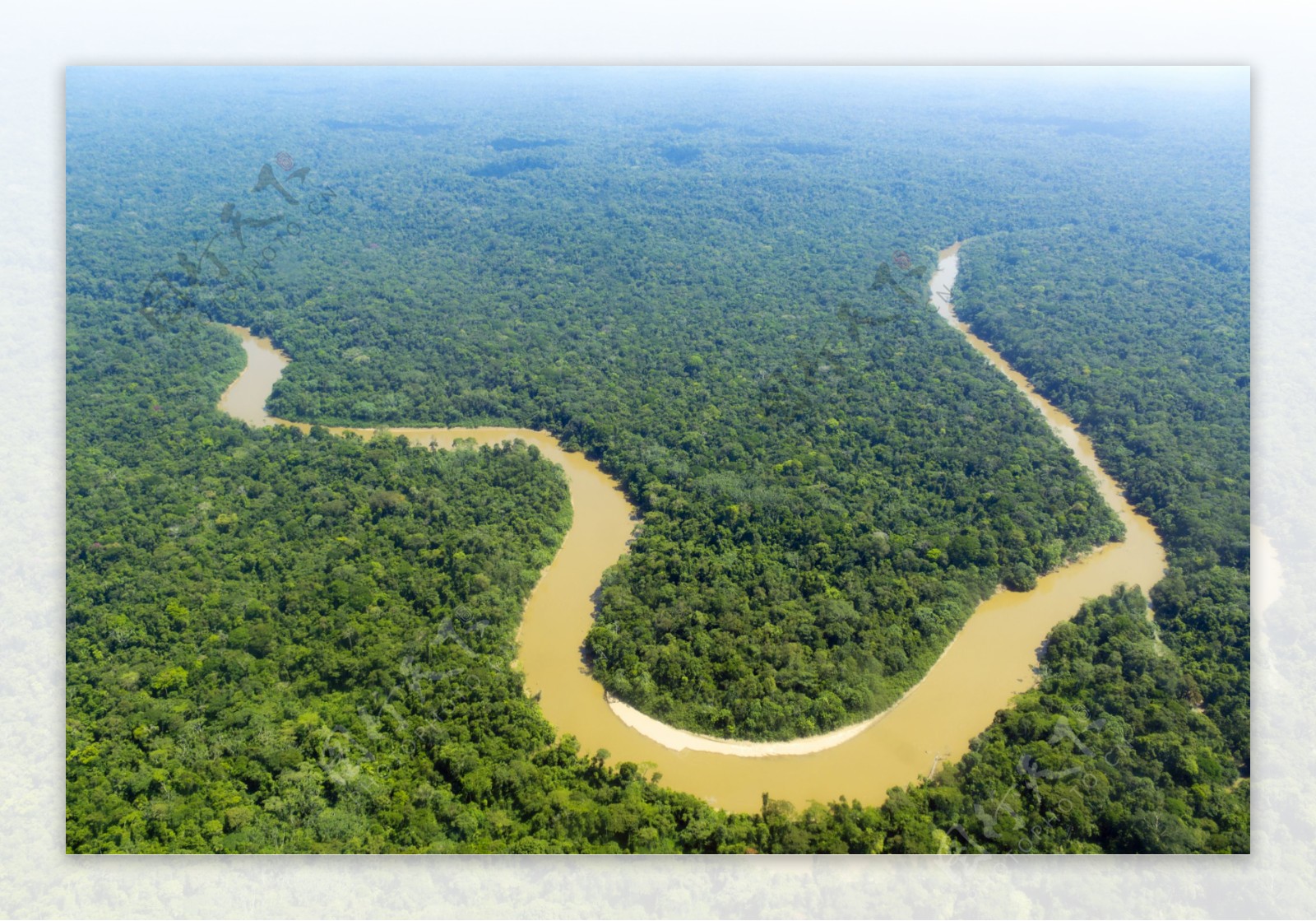 热带雨林鸟瞰图片