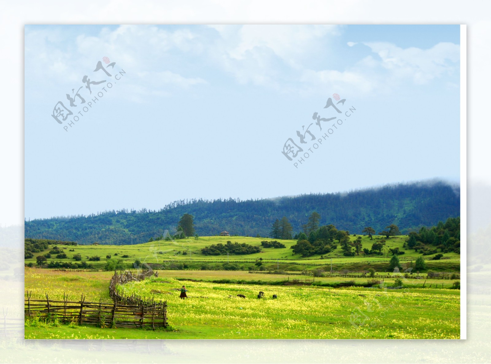 美丽的蓝天草原风景图片