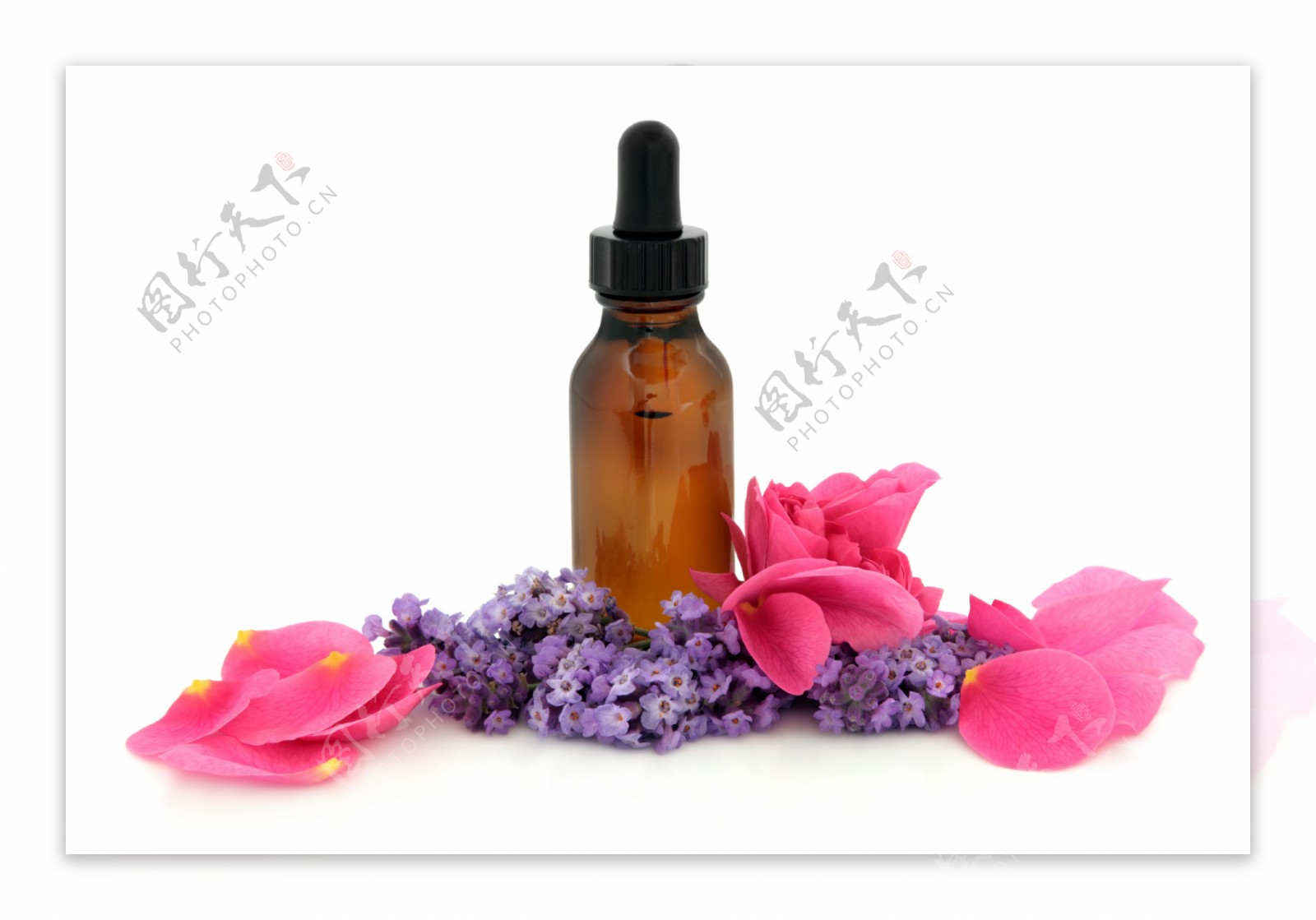 紫色花朵花瓣与精油图片