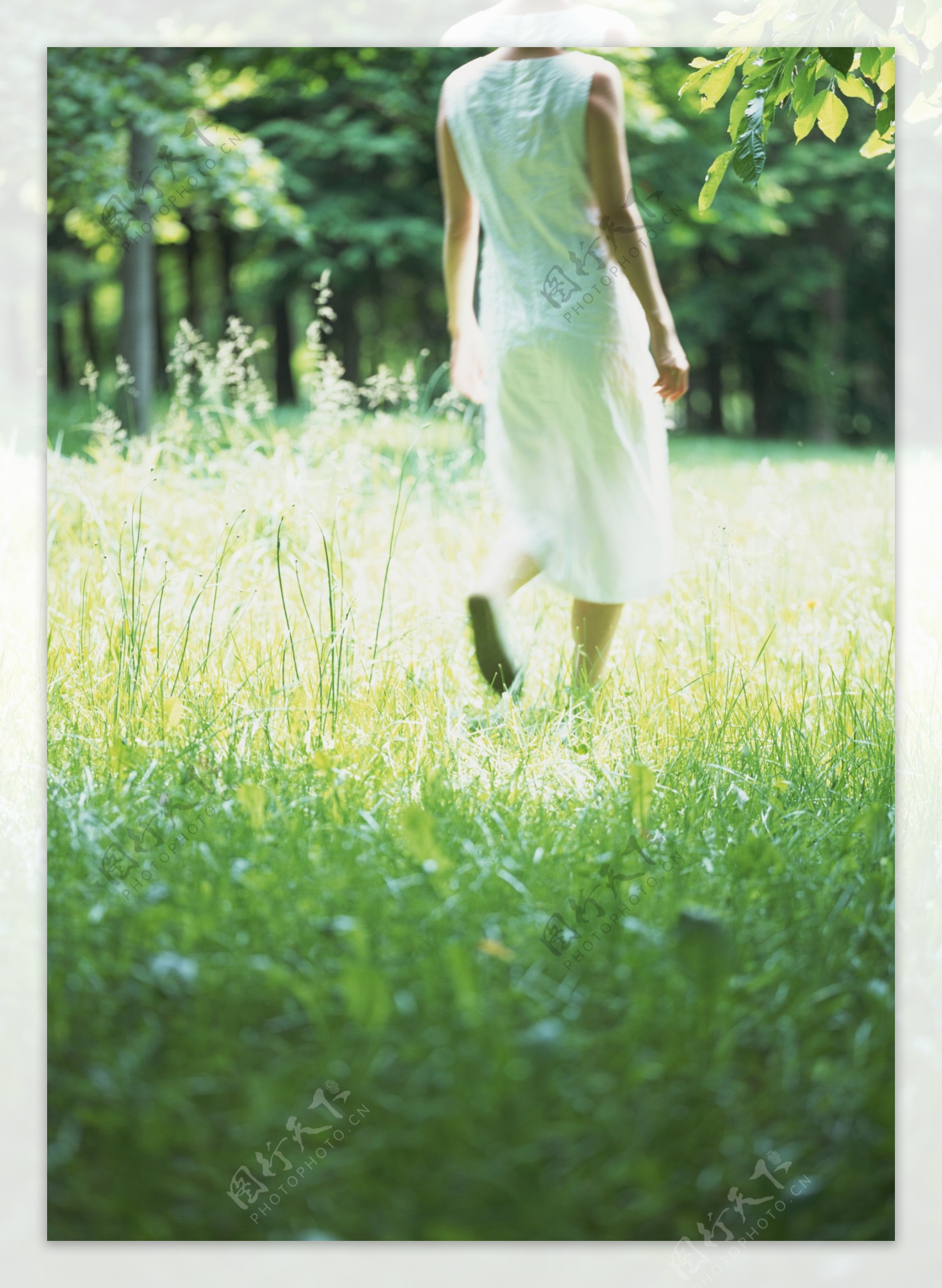 行走在草丛的女人图片