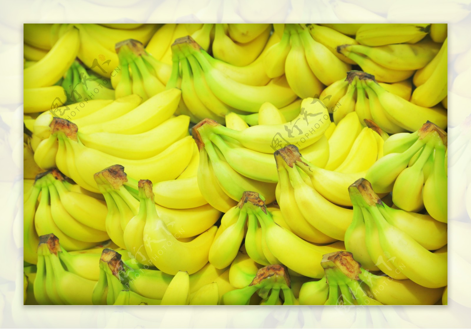 一串一串的香蕉摄影