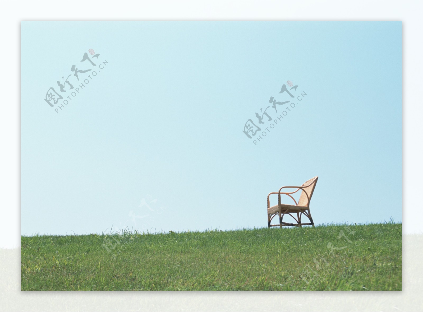 草地上的藤椅图片