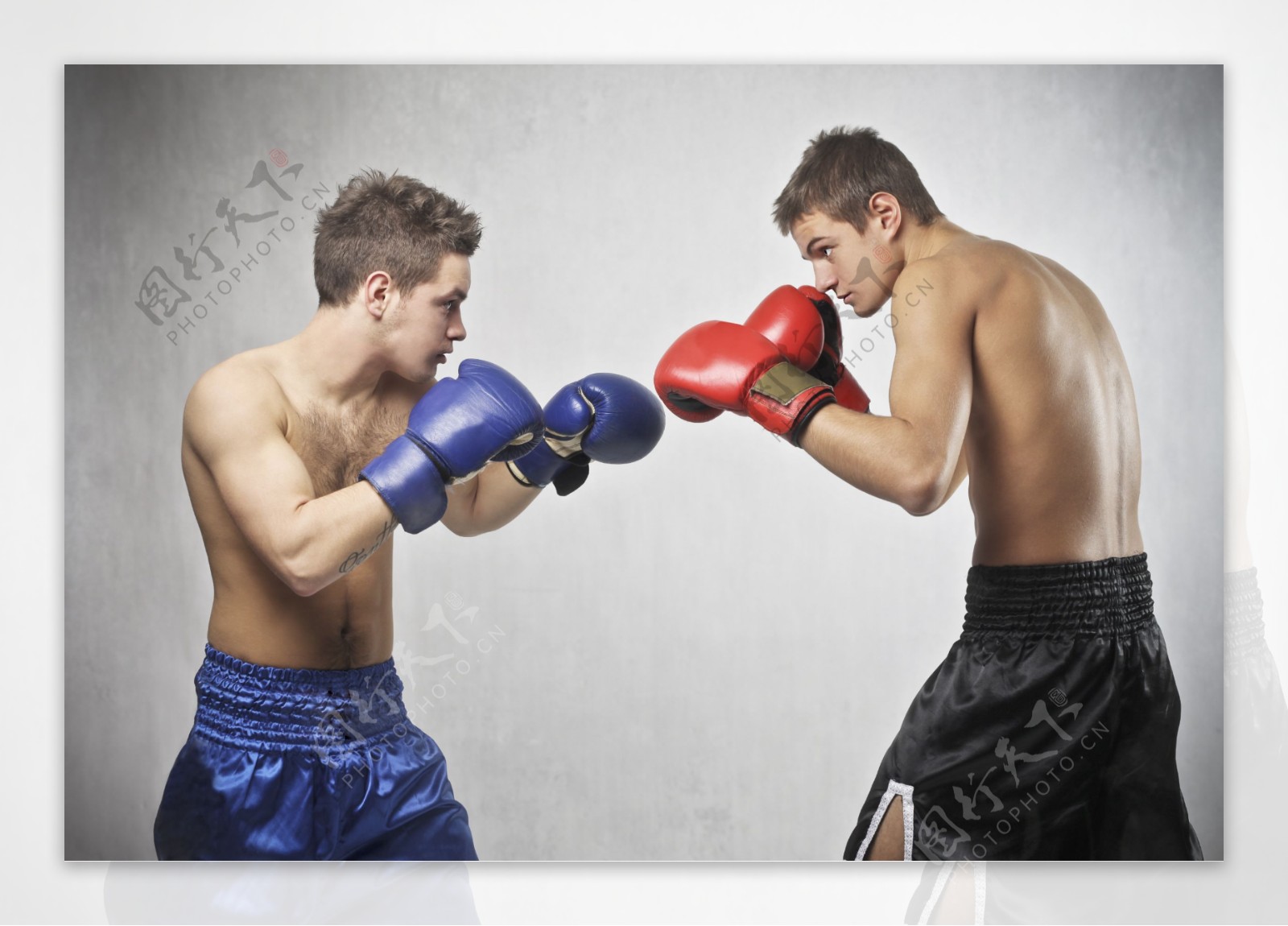 拳击运动图片