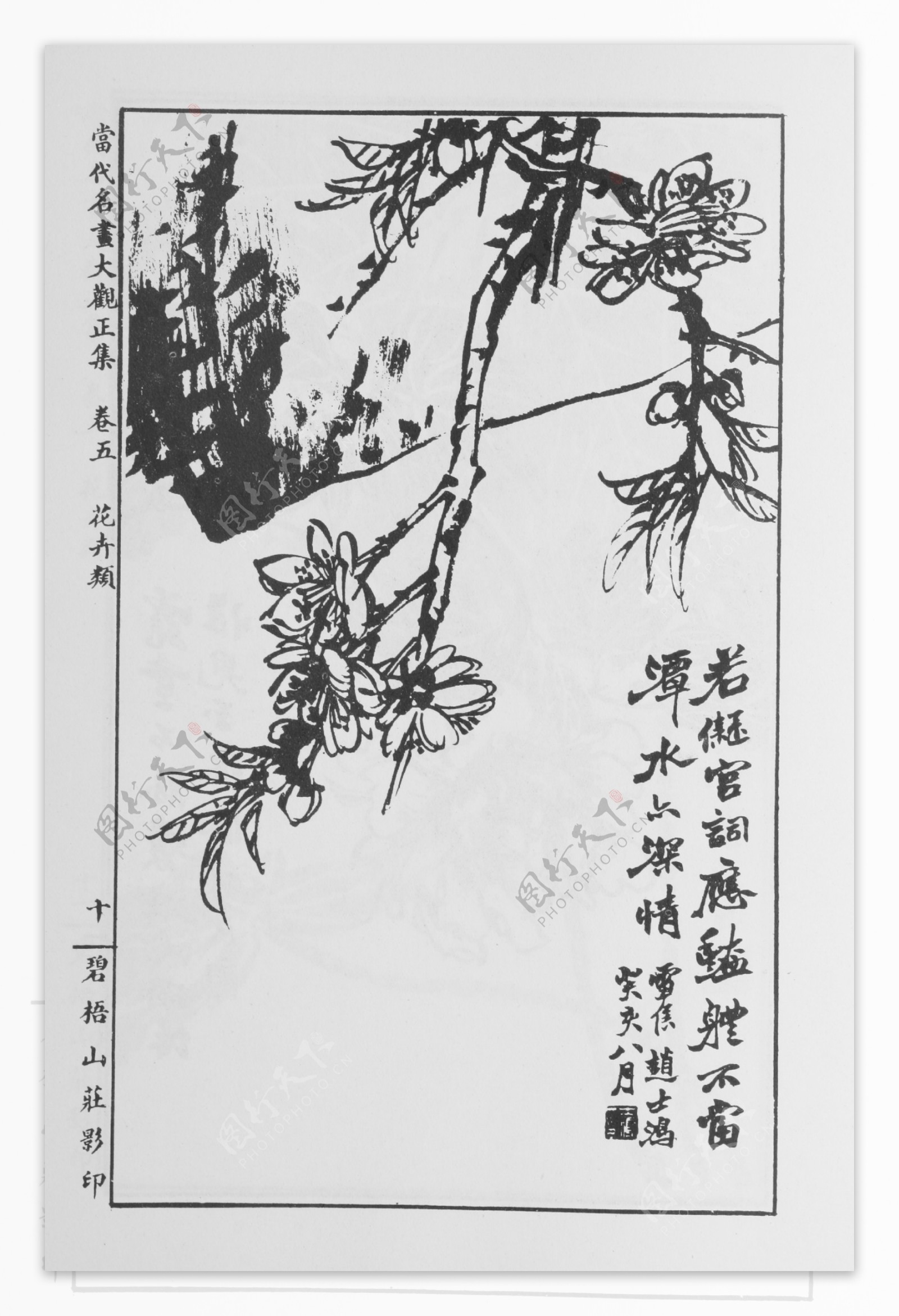 花卉画中国画当代名画大观正集21