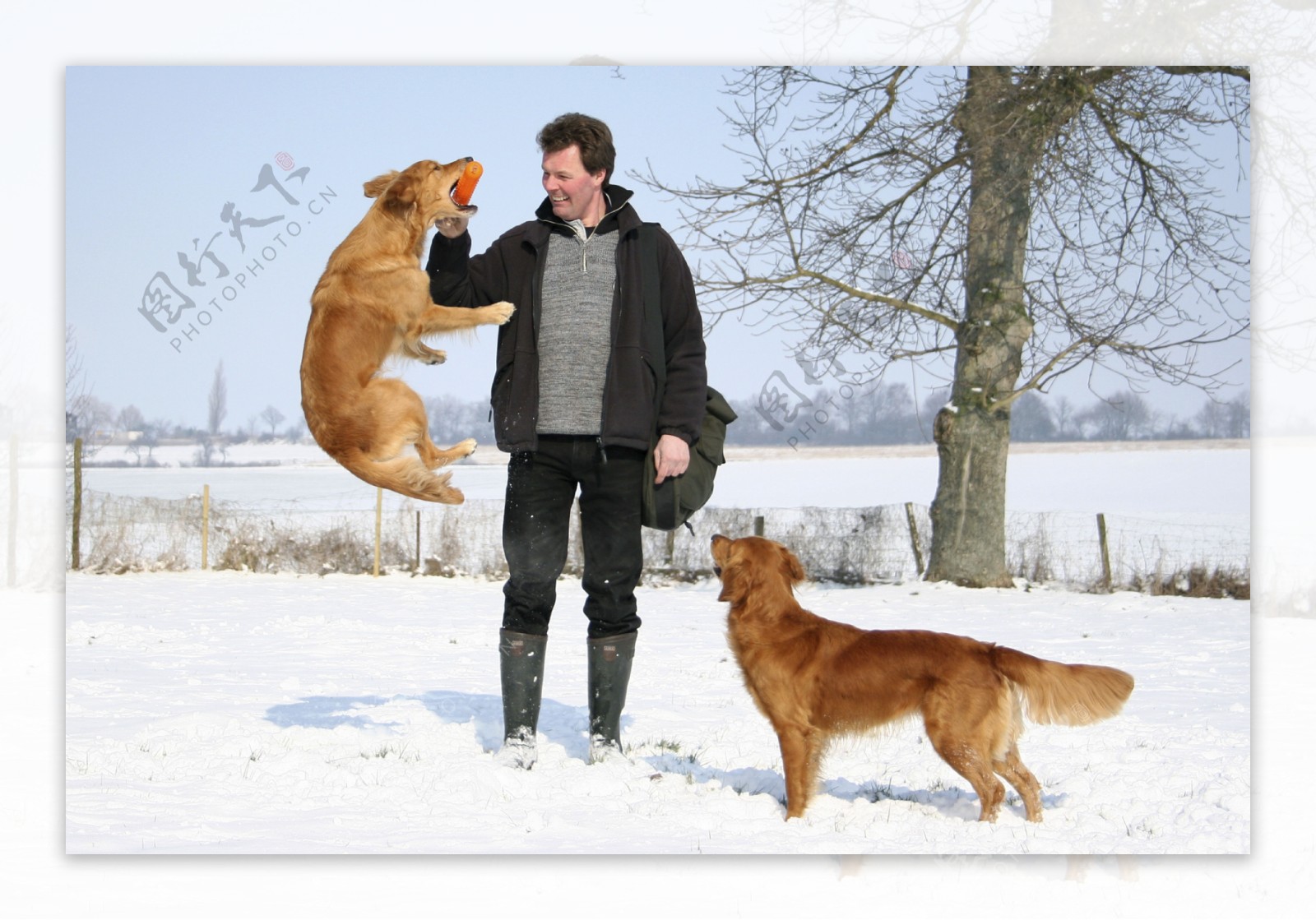 雪地里的驯狗师与狗狗