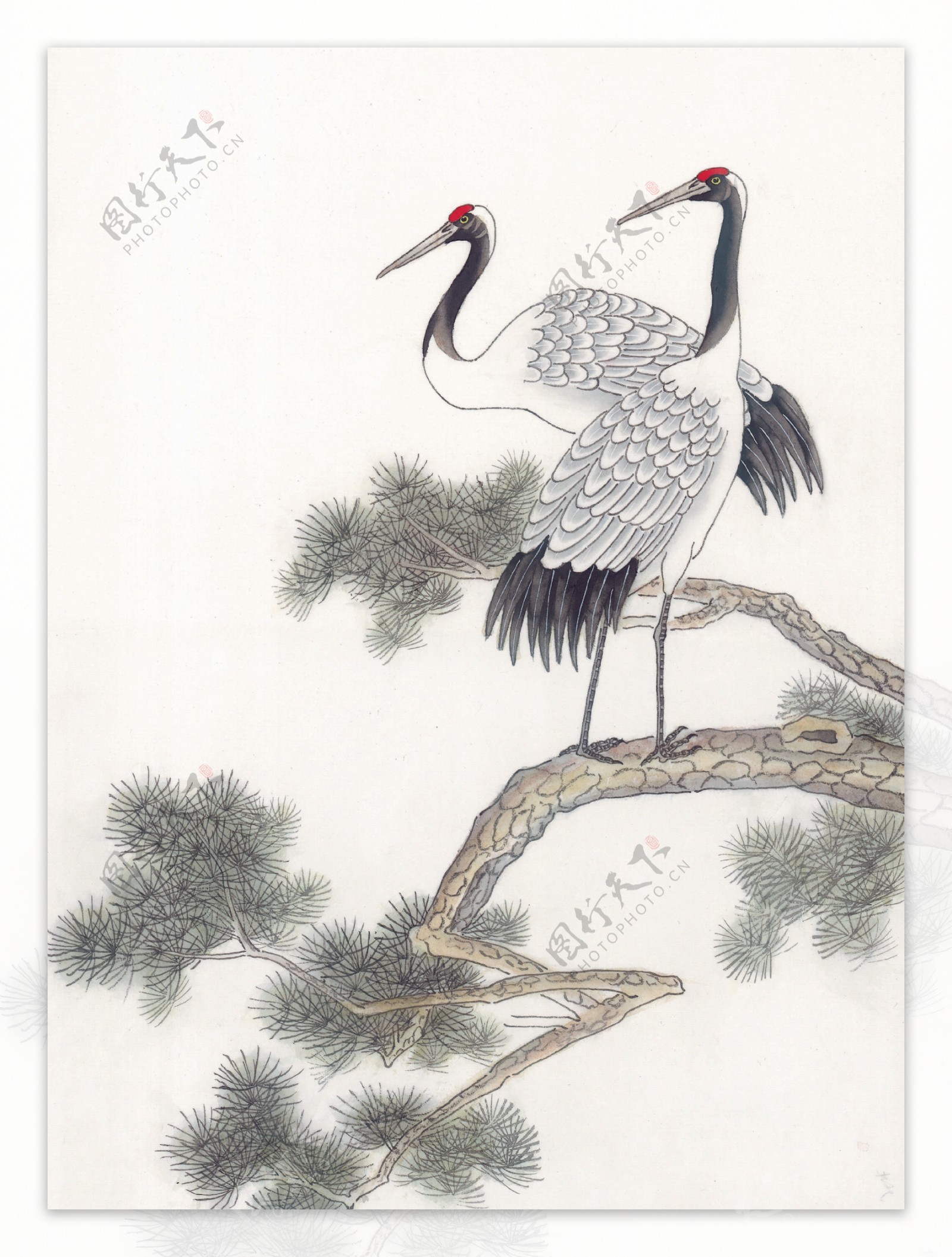 花鸟中国画23