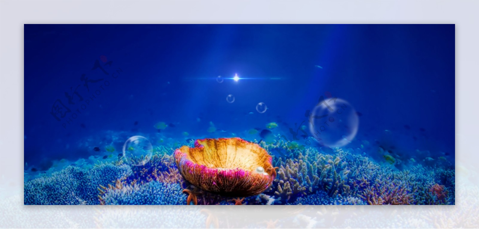 浪漫女装背景蓝色海洋背景气泡珊瑚
