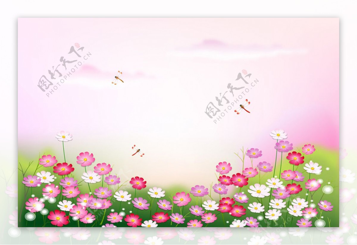 花卉草坪装饰画