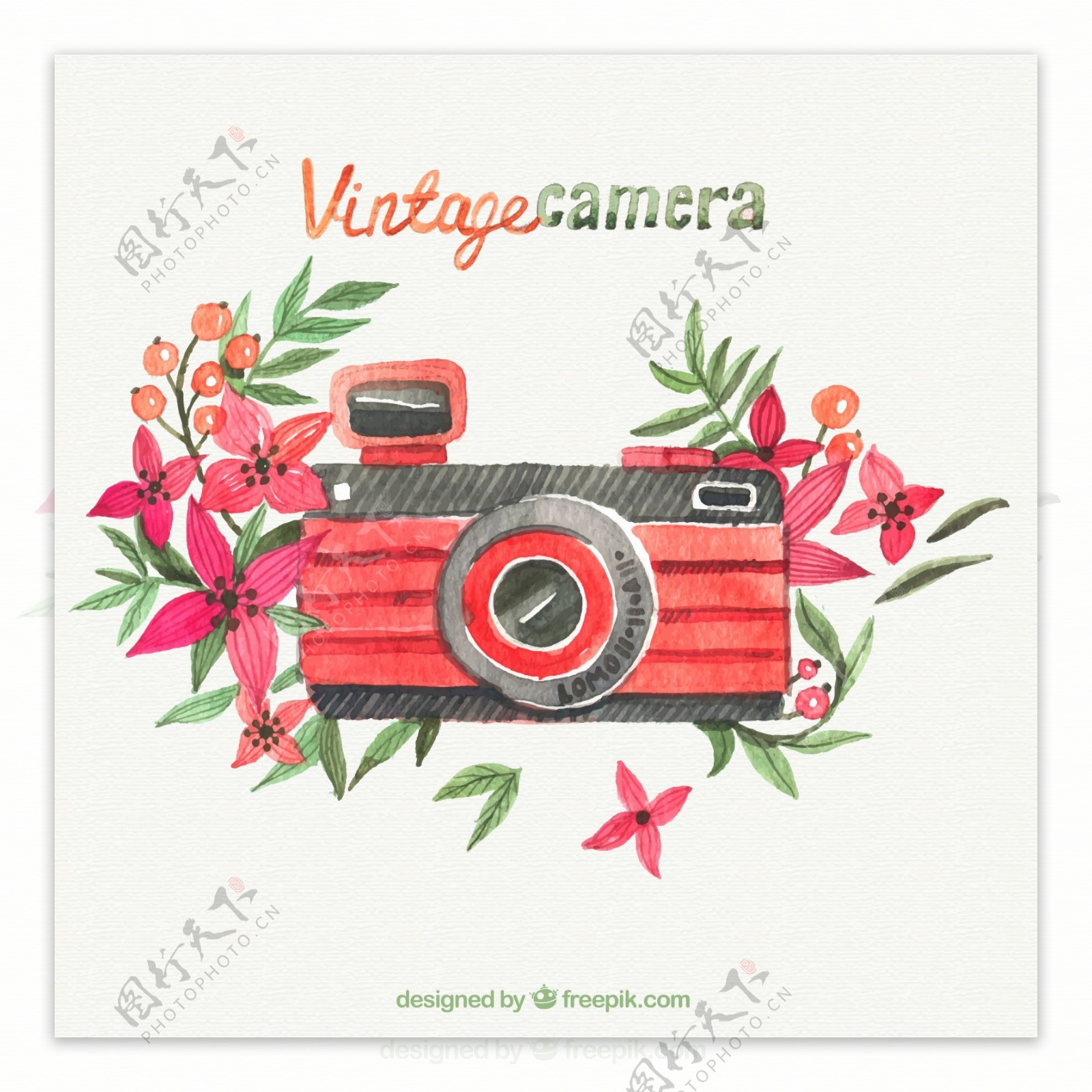 水彩花卉和照相机矢量素材