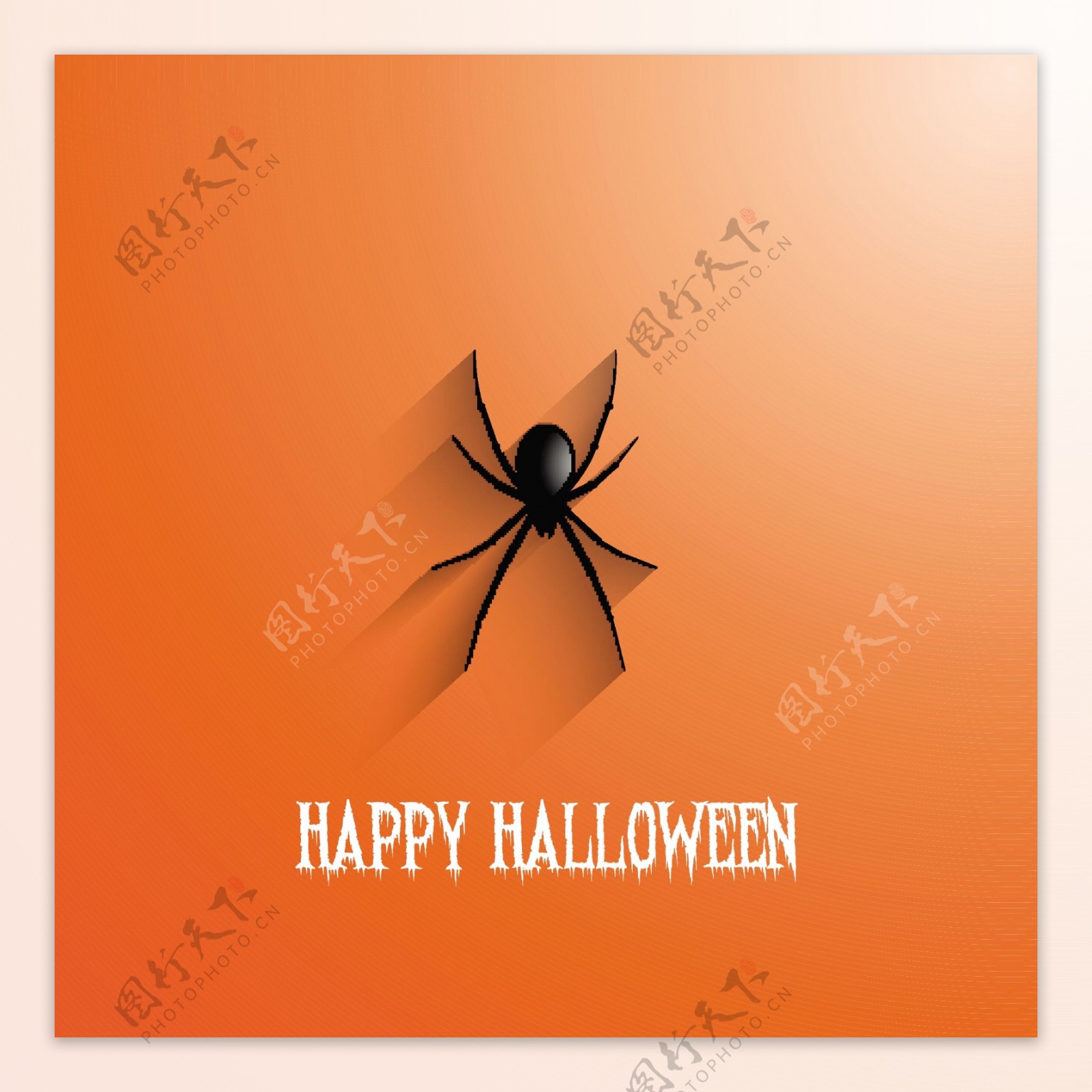 万圣节的橙色背景上的一只蜘蛛