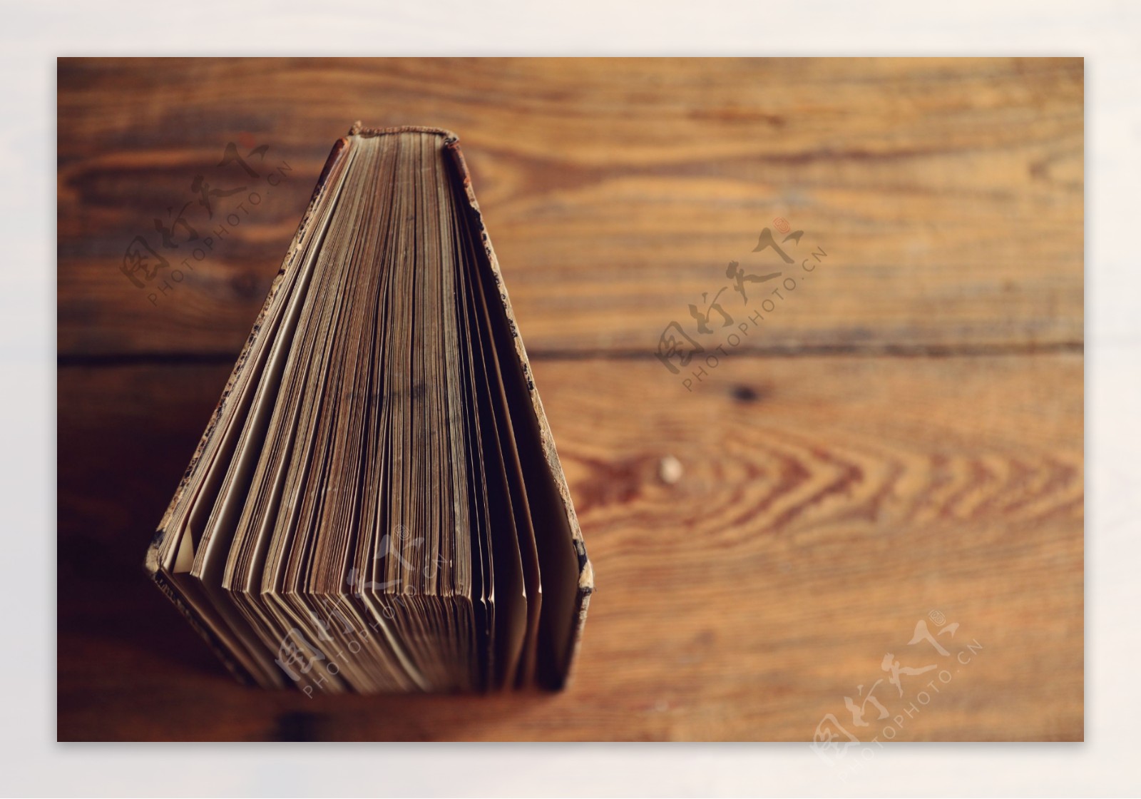 木板上竖起的书籍图片