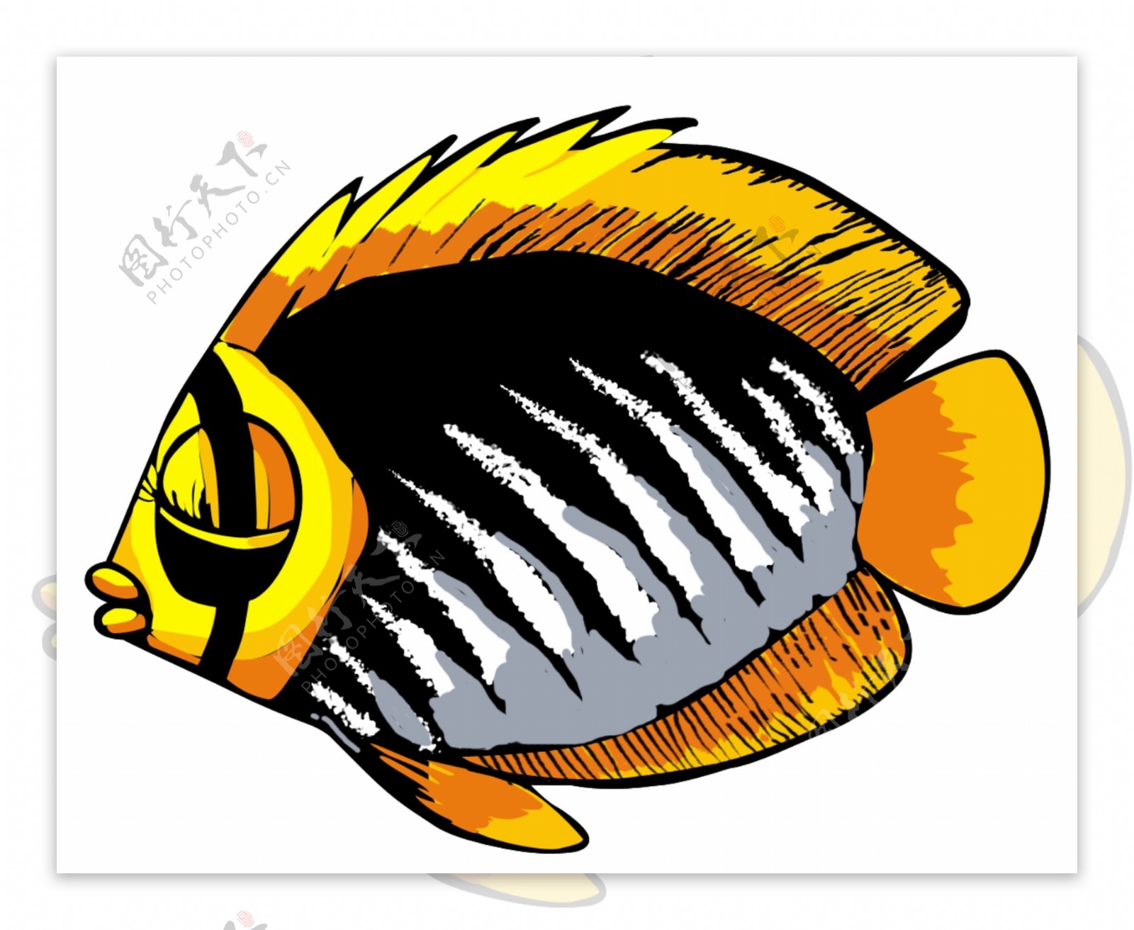 卡通热带鱼