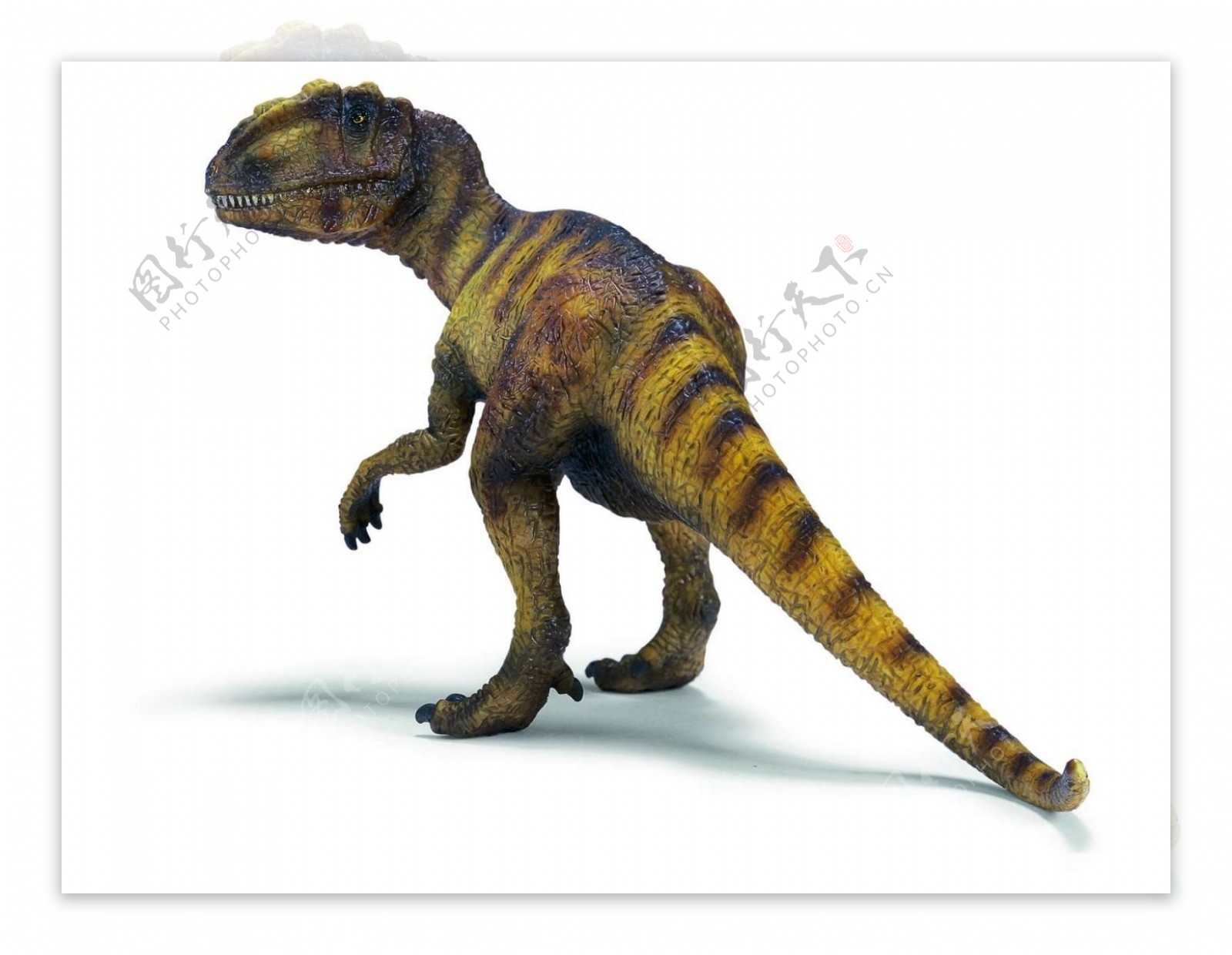 恐龙时代白垩纪