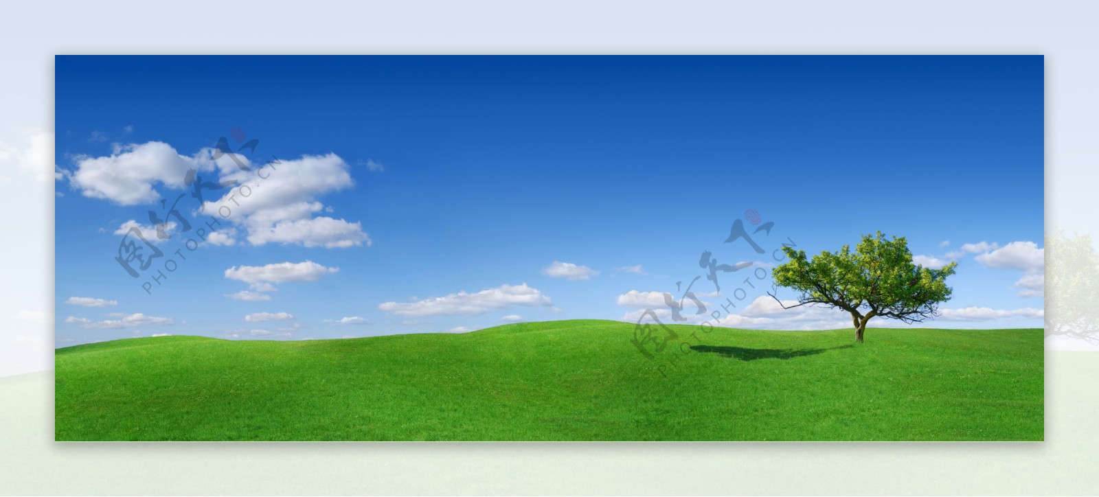 蓝天白云与草原景色图片