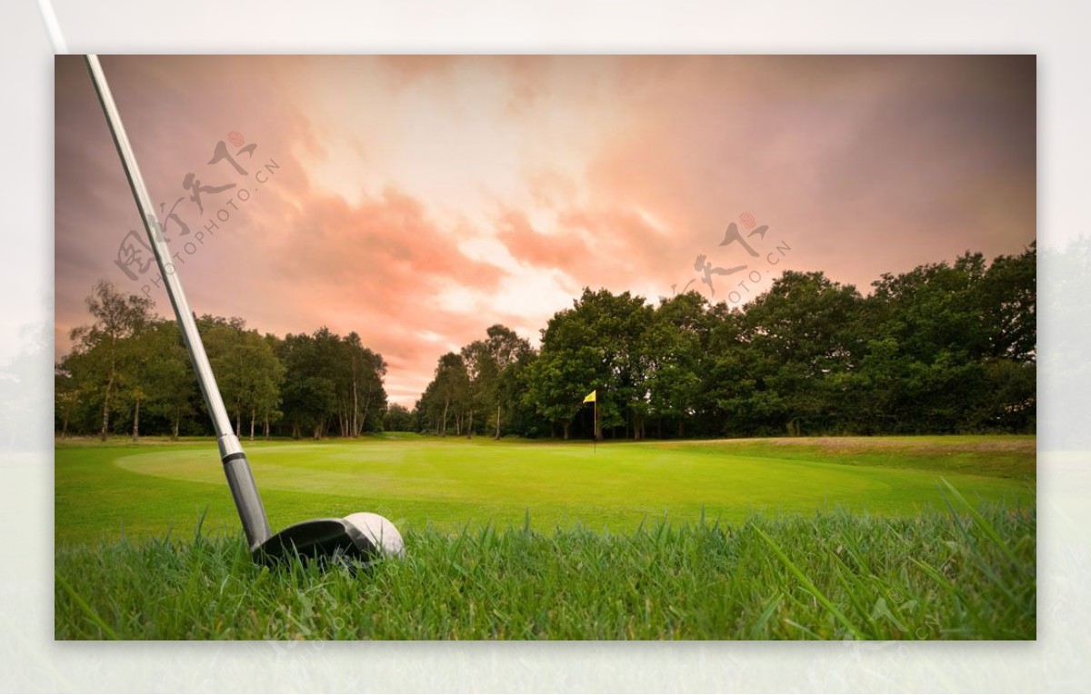 草地上的高尔夫球杆图片