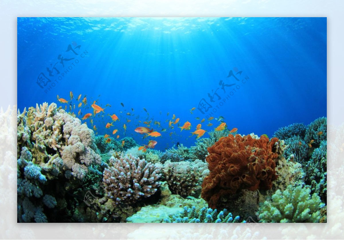 高清绚丽海底世界图片