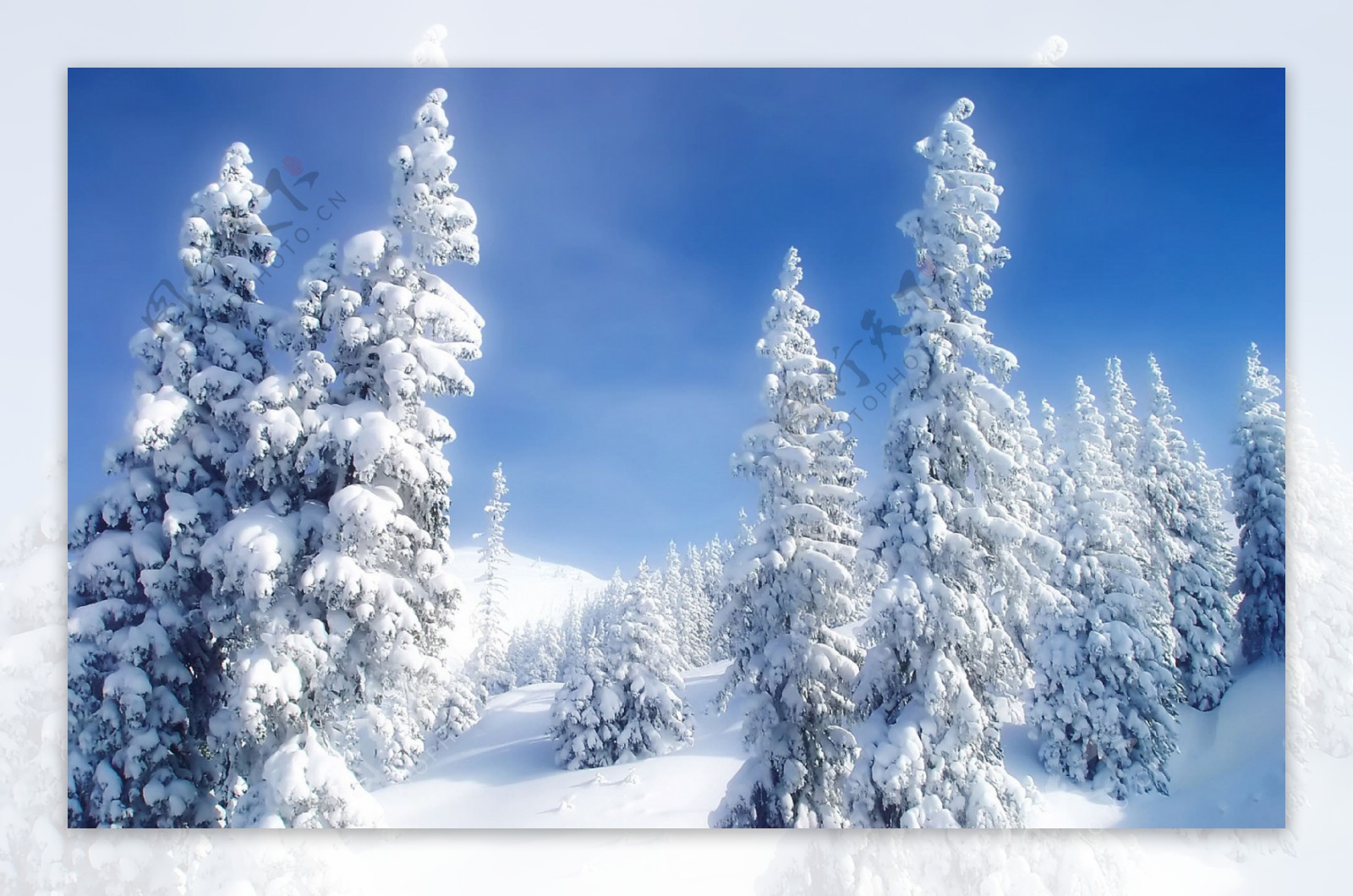 雪景图片