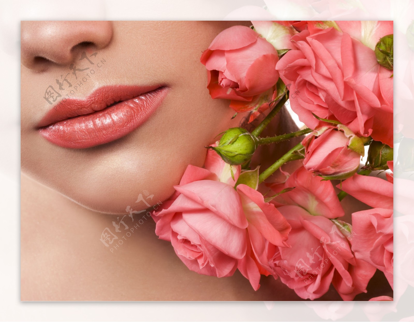 女性嘴唇与玫瑰花特写图片