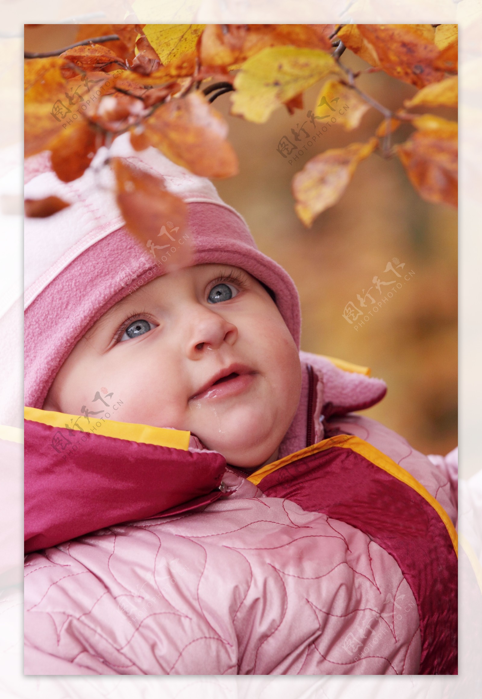 树叶与婴儿摄影图片