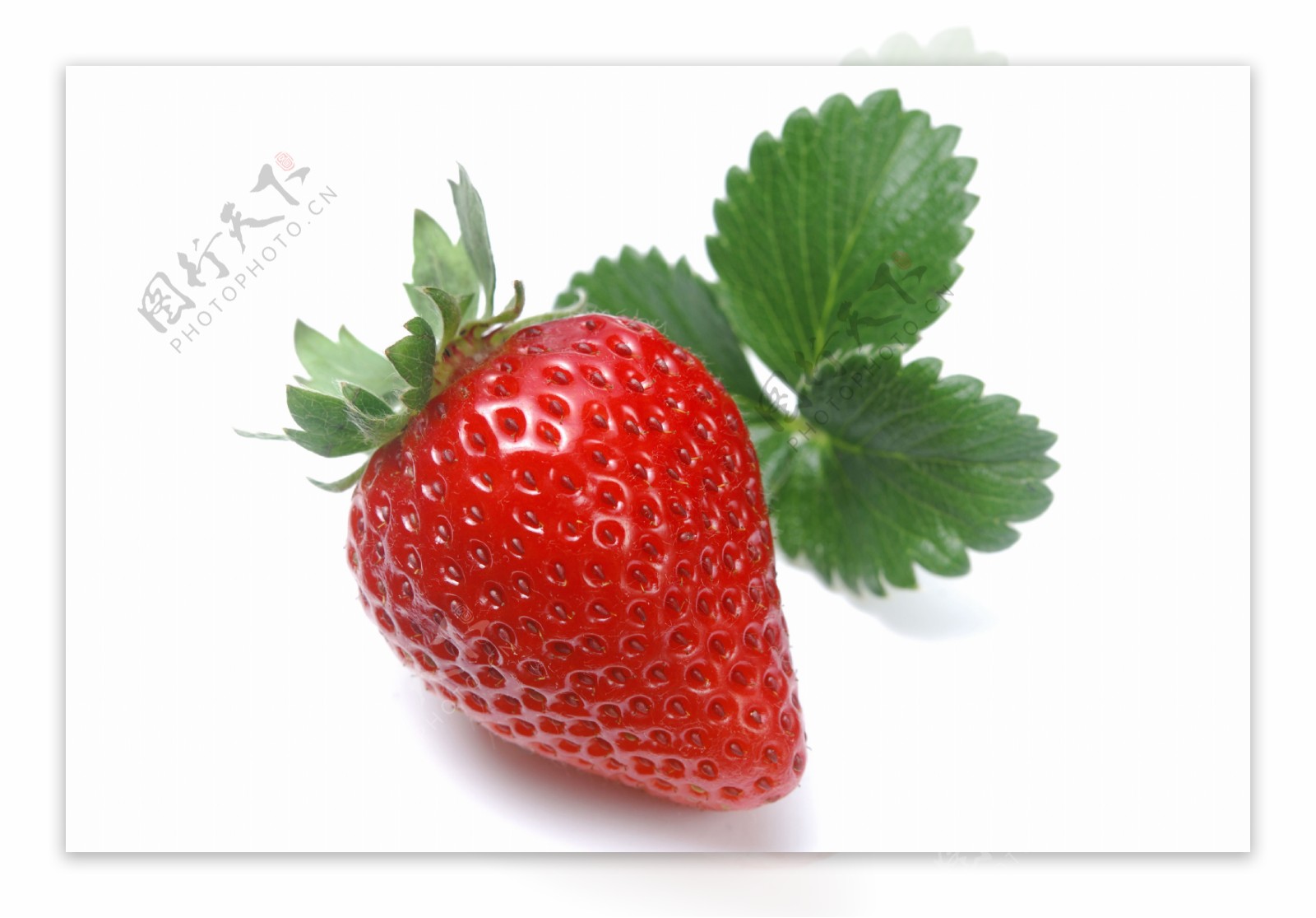 新鲜草莓图片图片