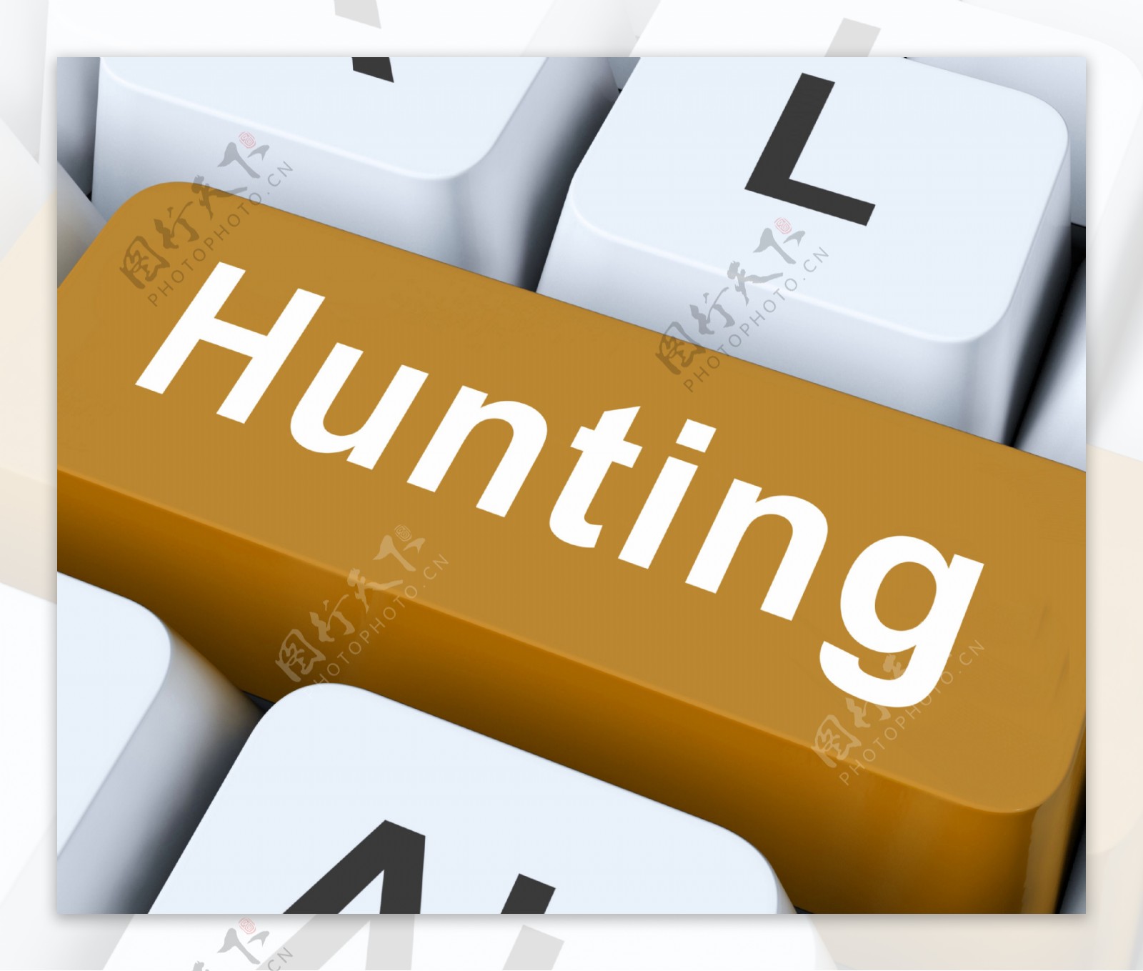 狩猎的关键手段探索或搜索