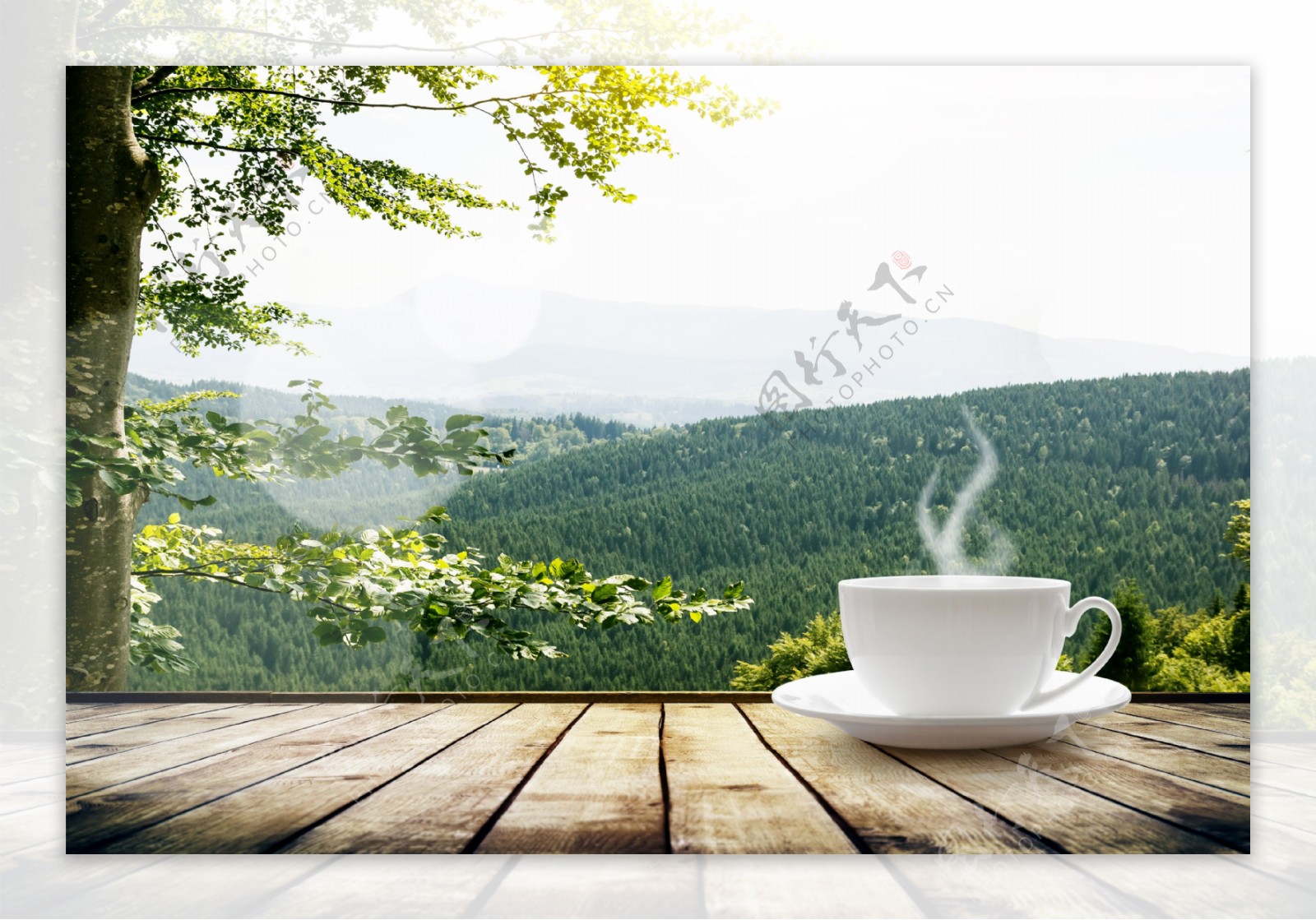 咖啡与树林风景图片