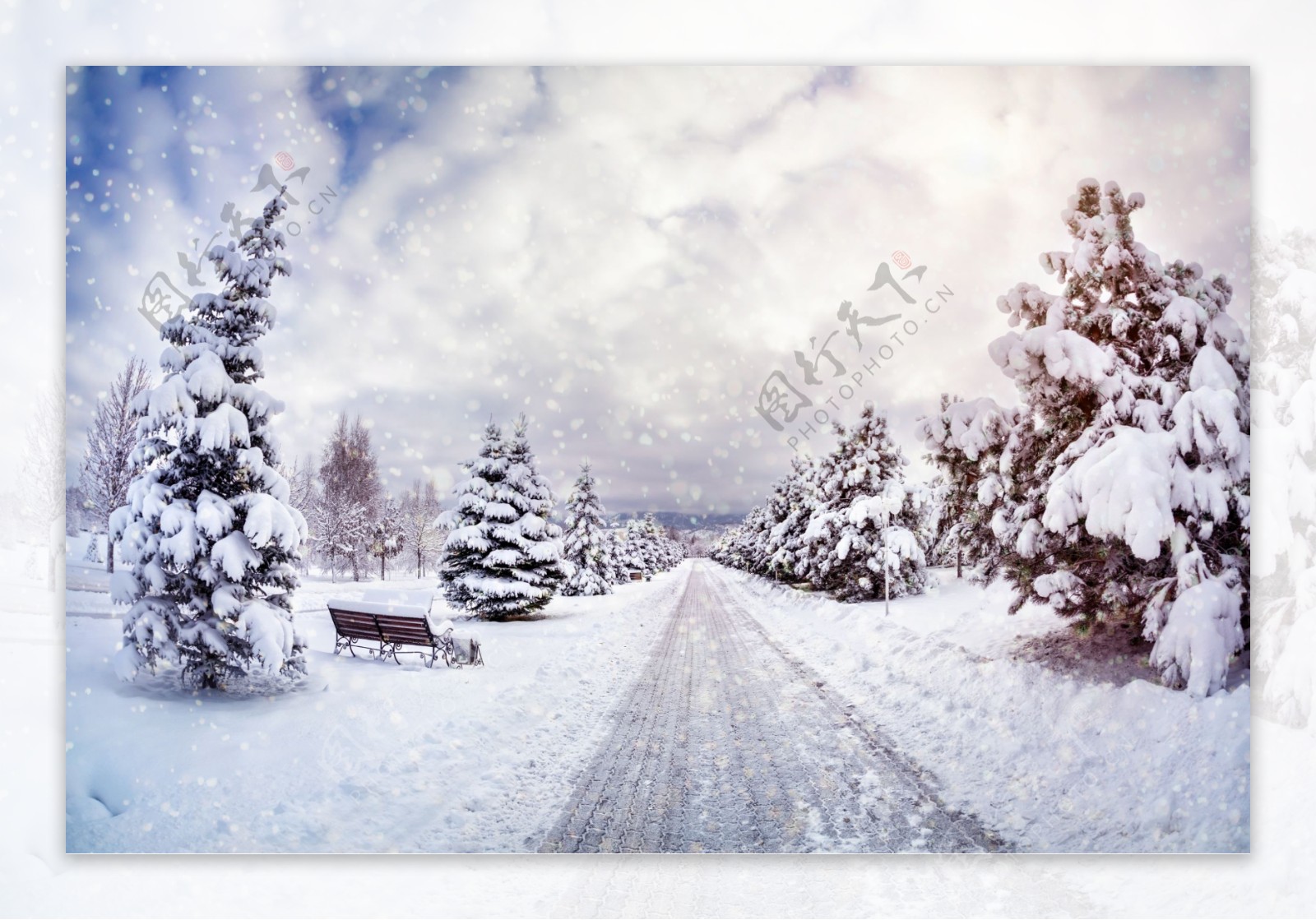 美丽马路雪景图片