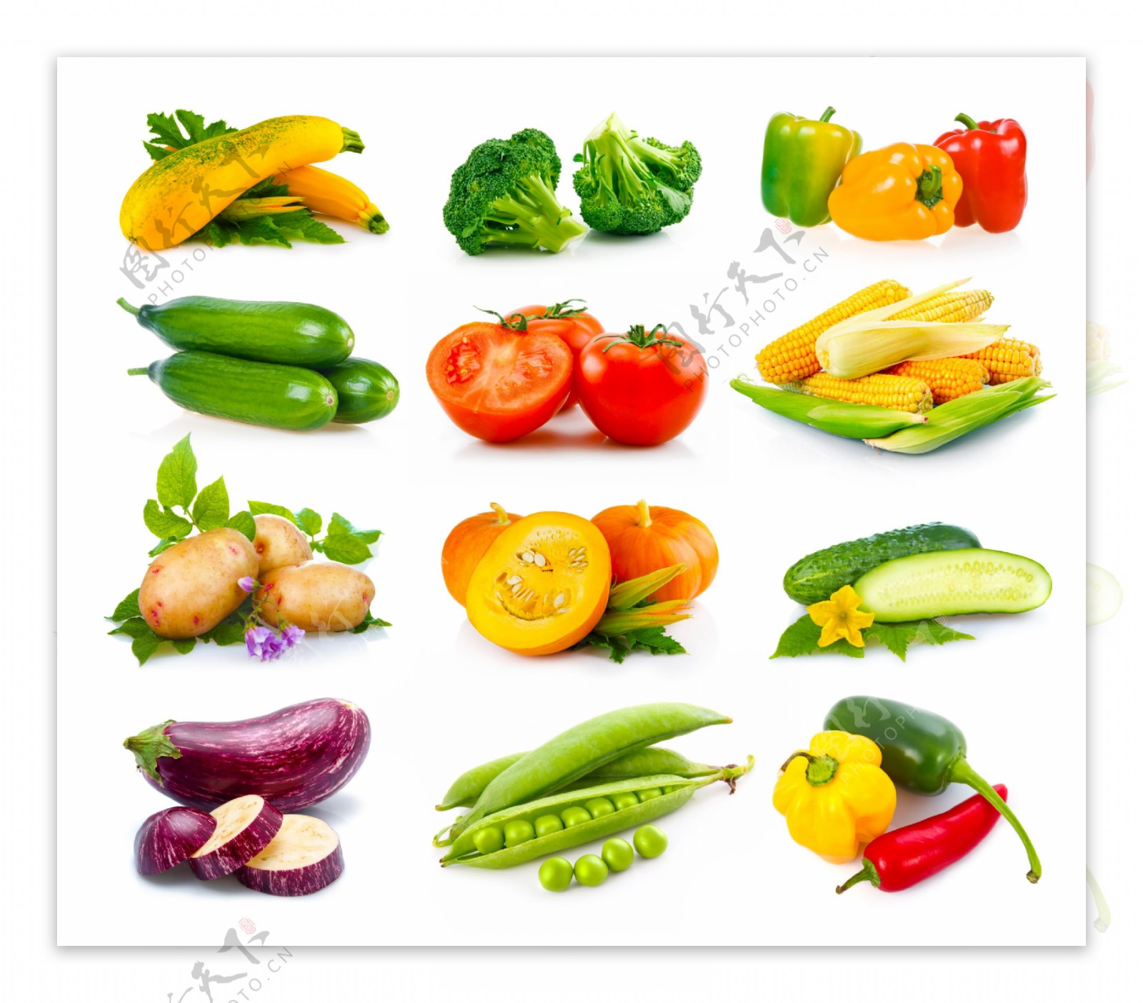 各种各样的蔬菜图片