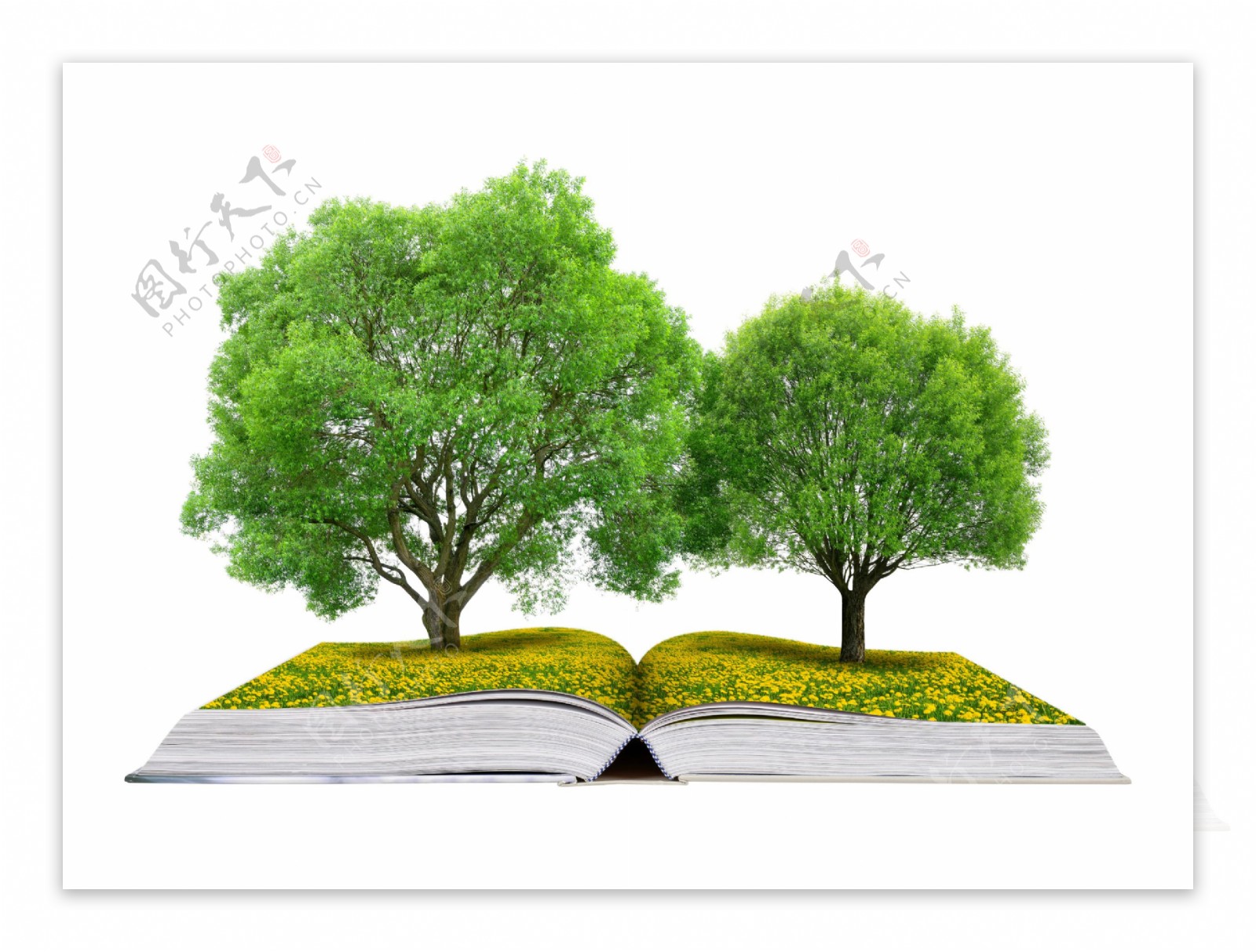 书本上的树木创意高清图片